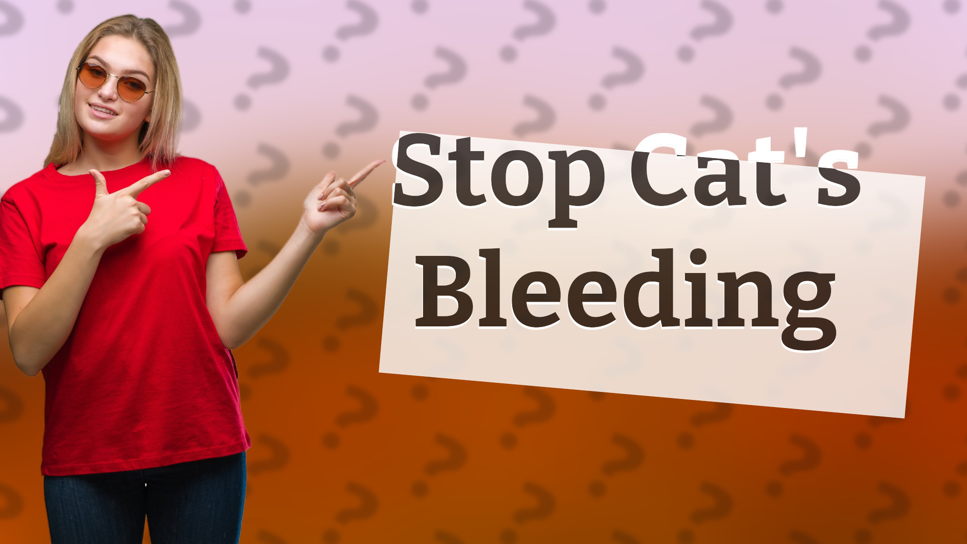 Stop Cat's Bleeding