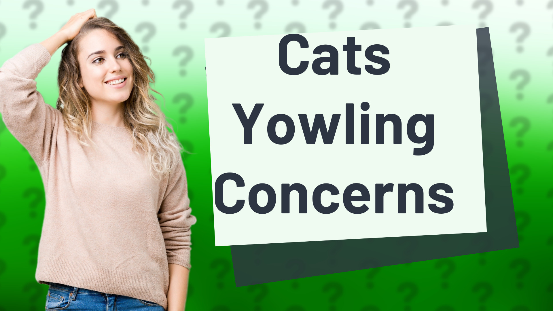 Cats Yowling Concerns