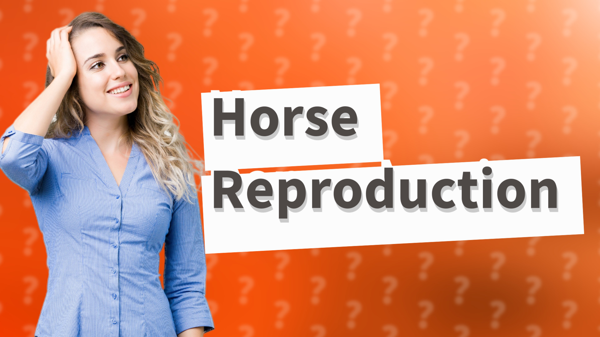 Horse Reproduction