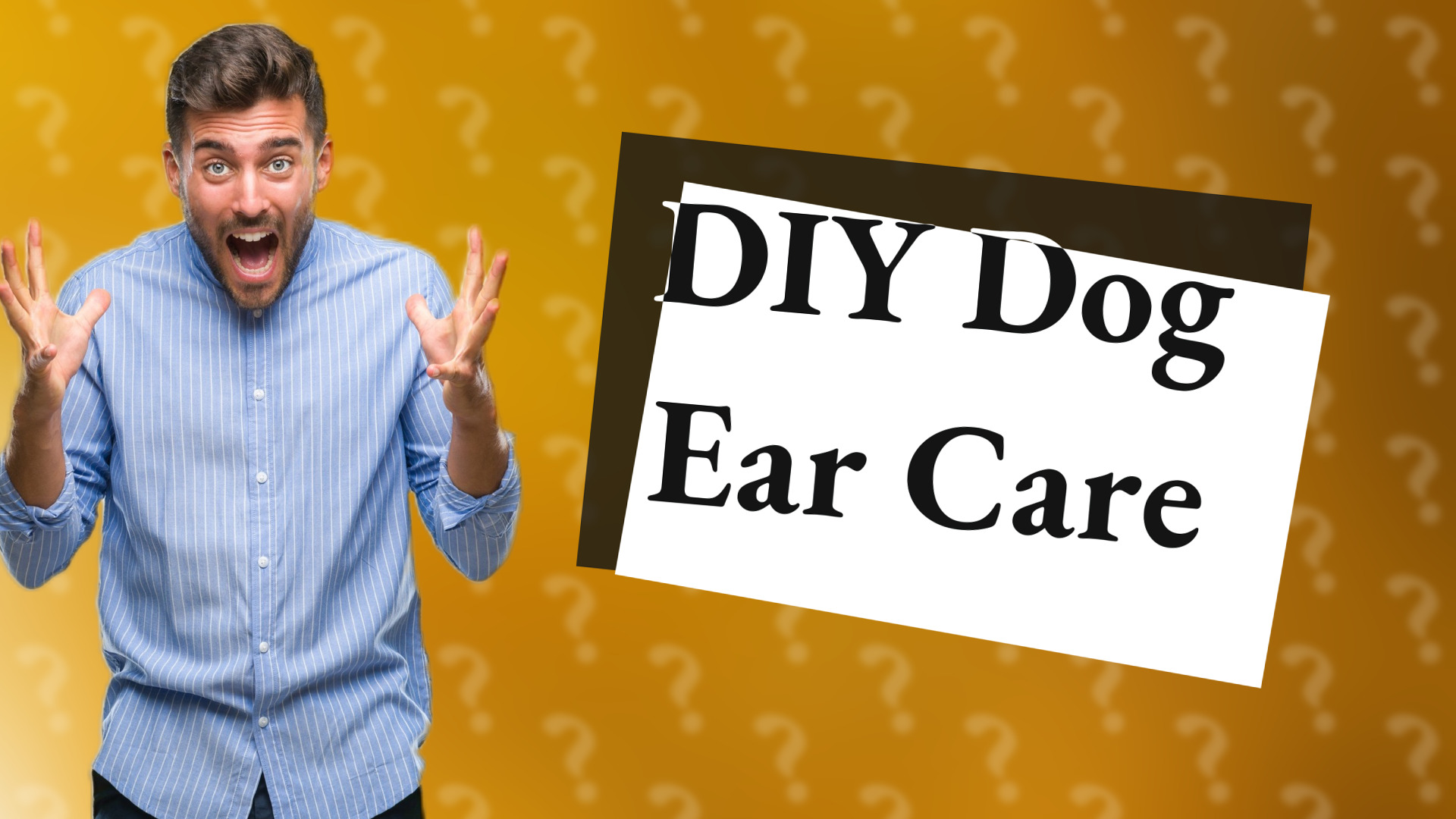 DIY Dog Ear Care