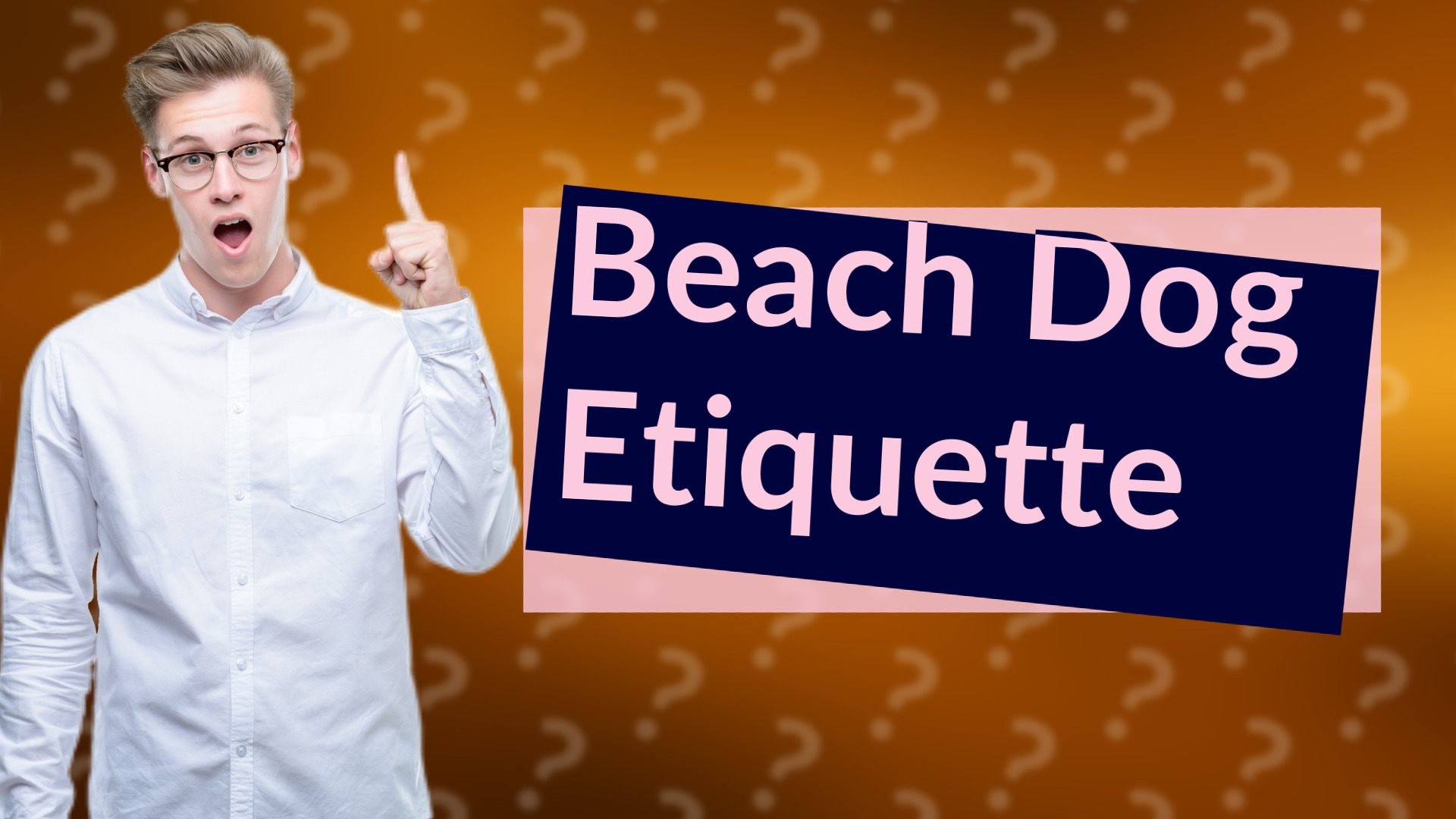 Beach Dog Etiquette