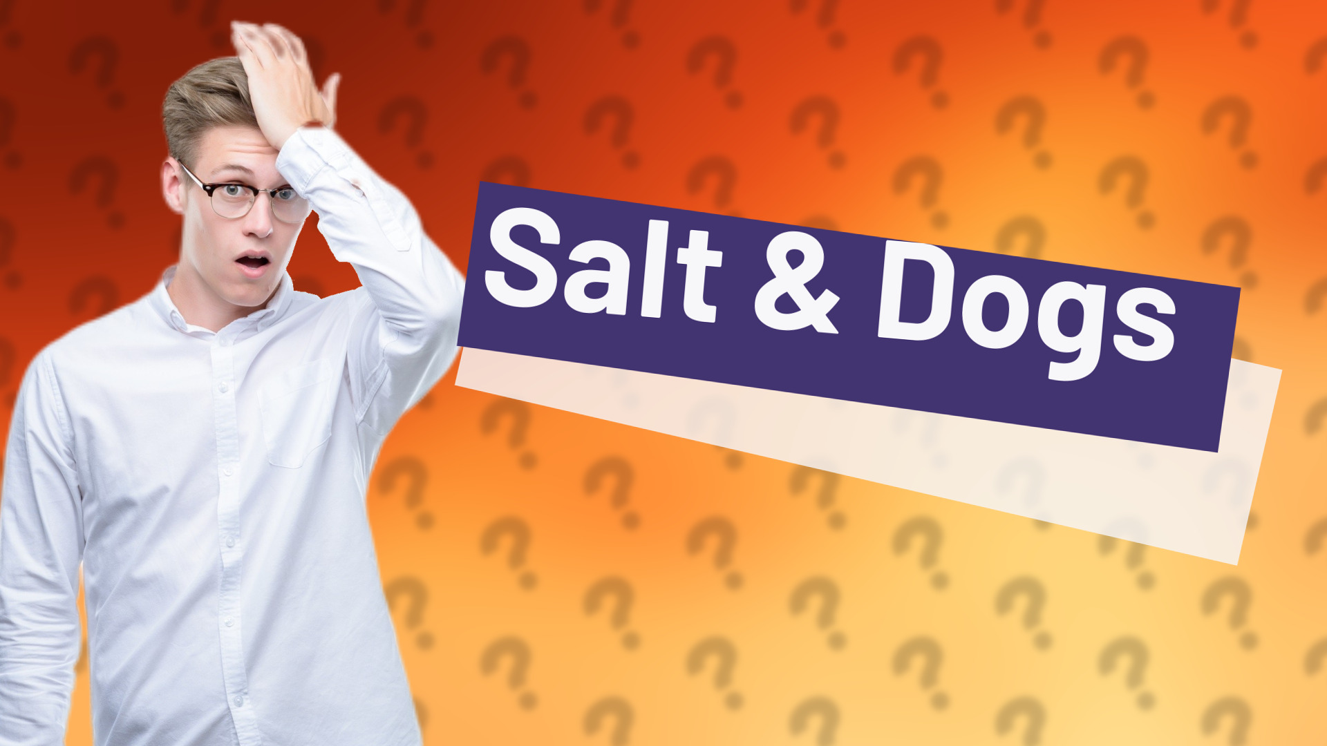 Salt & Dogs
