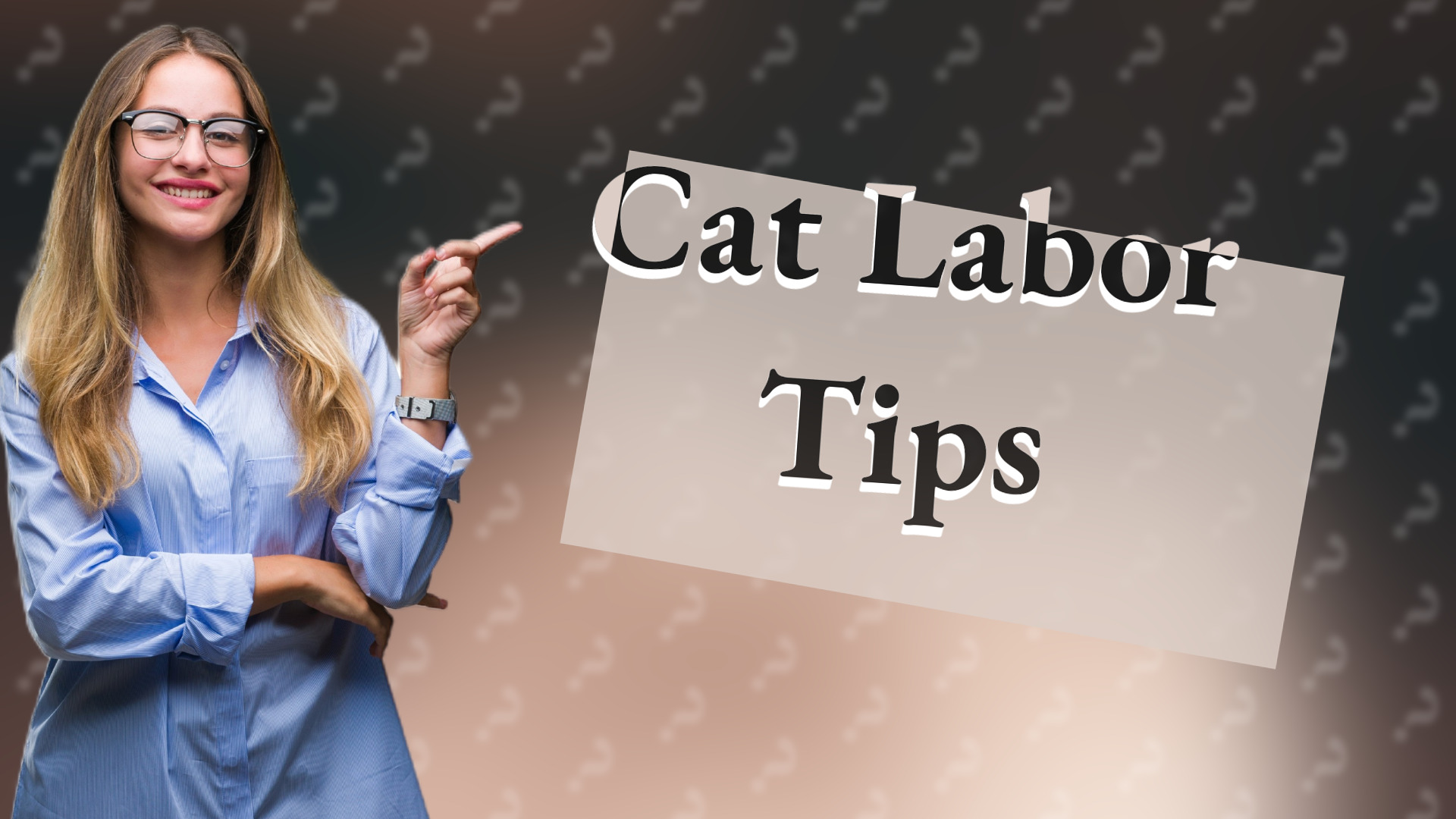 Cat Labor Tips