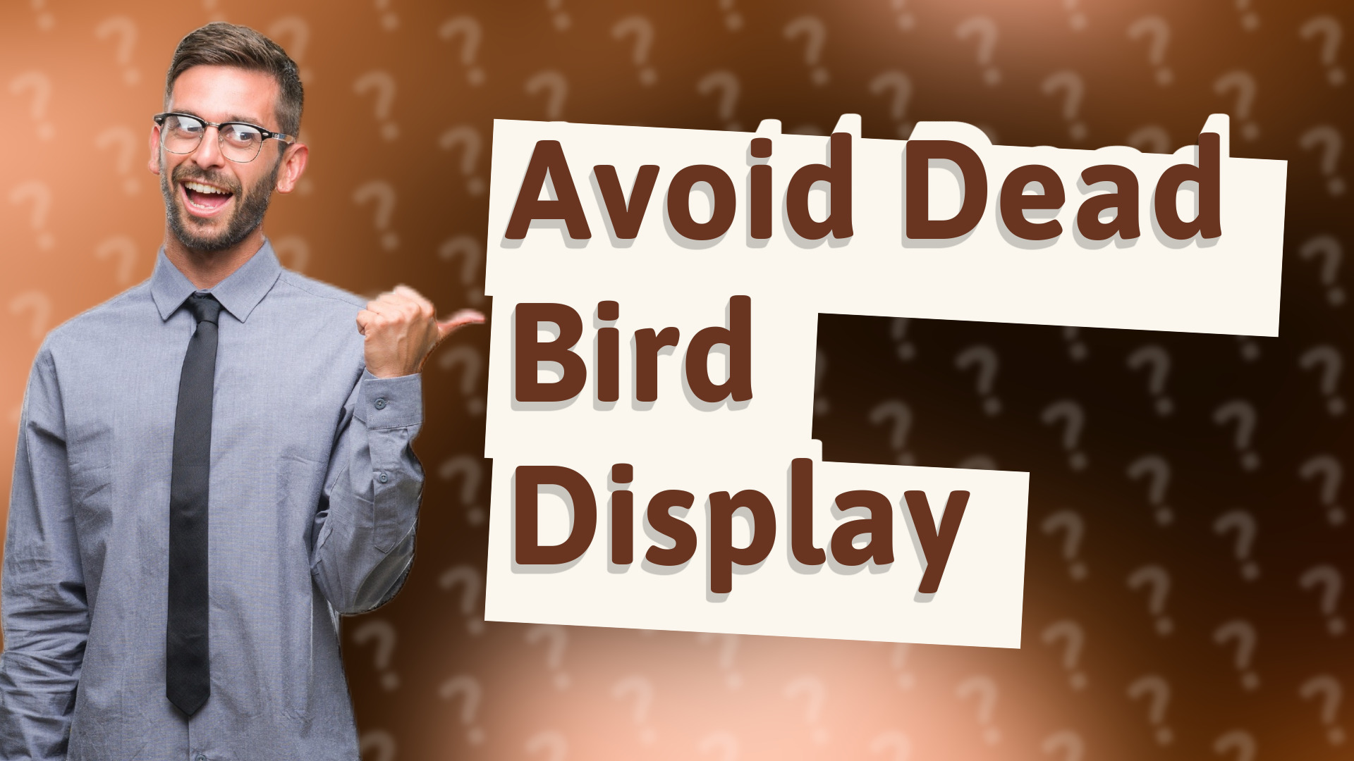 Avoid Dead Bird Display