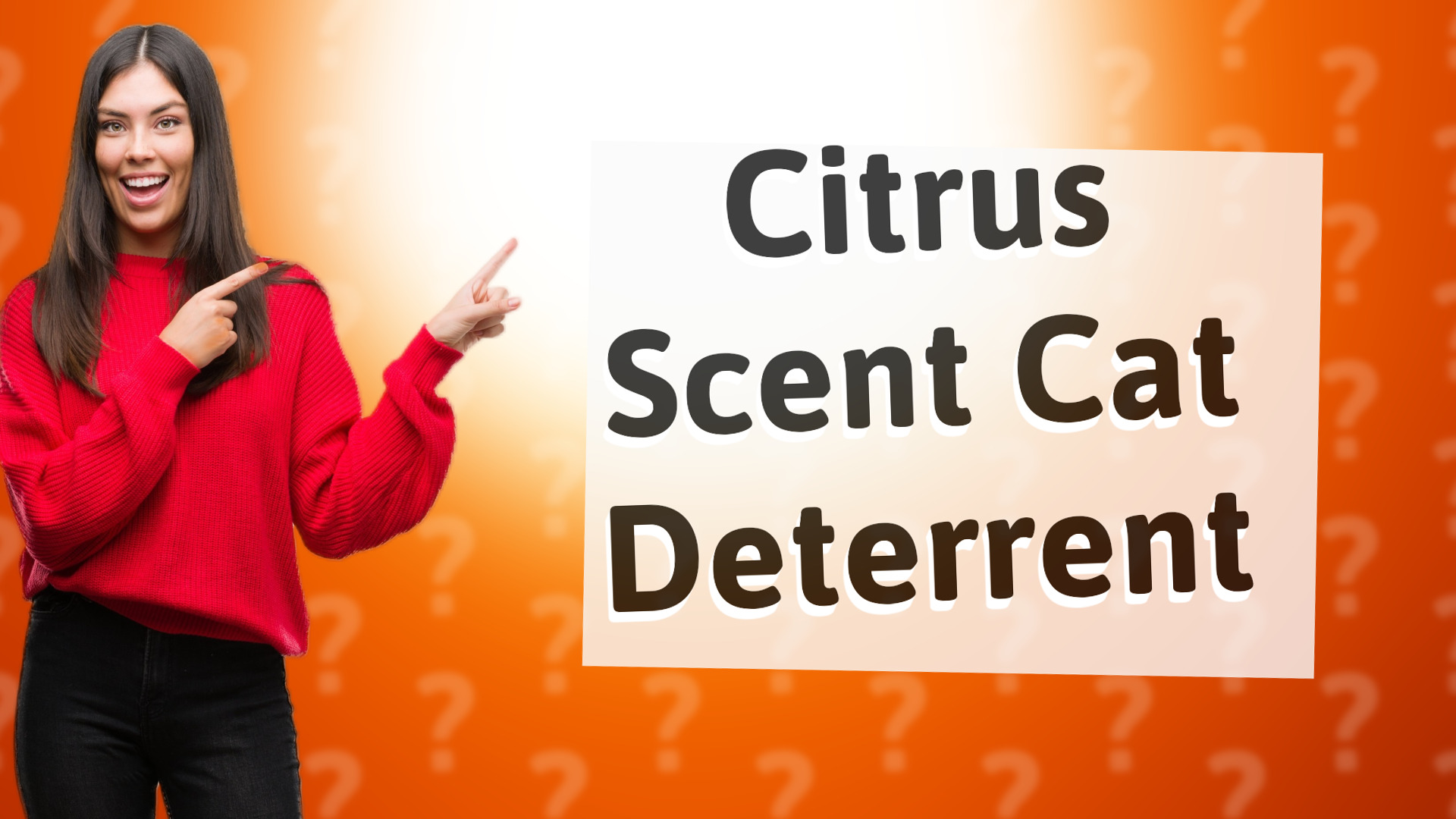 Citrus Scent Cat Deterrent