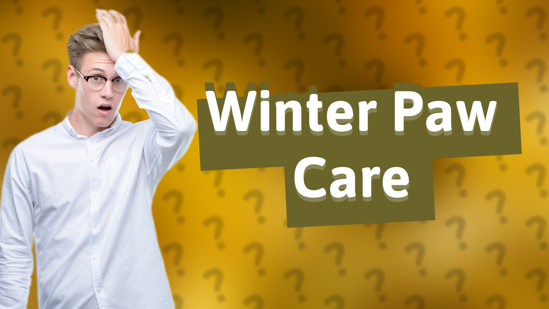 Winter Paw Care