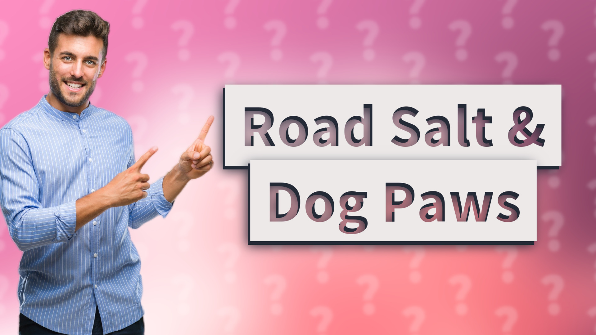 Road Salt & Dog Paws