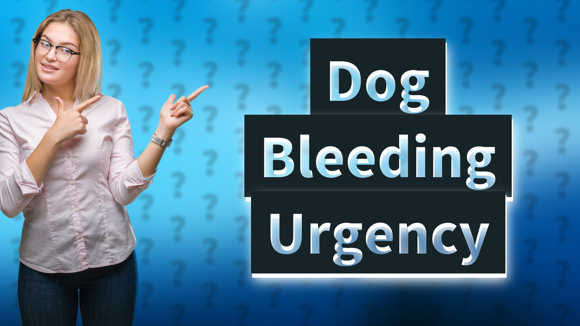 Dog Bleeding Urgency