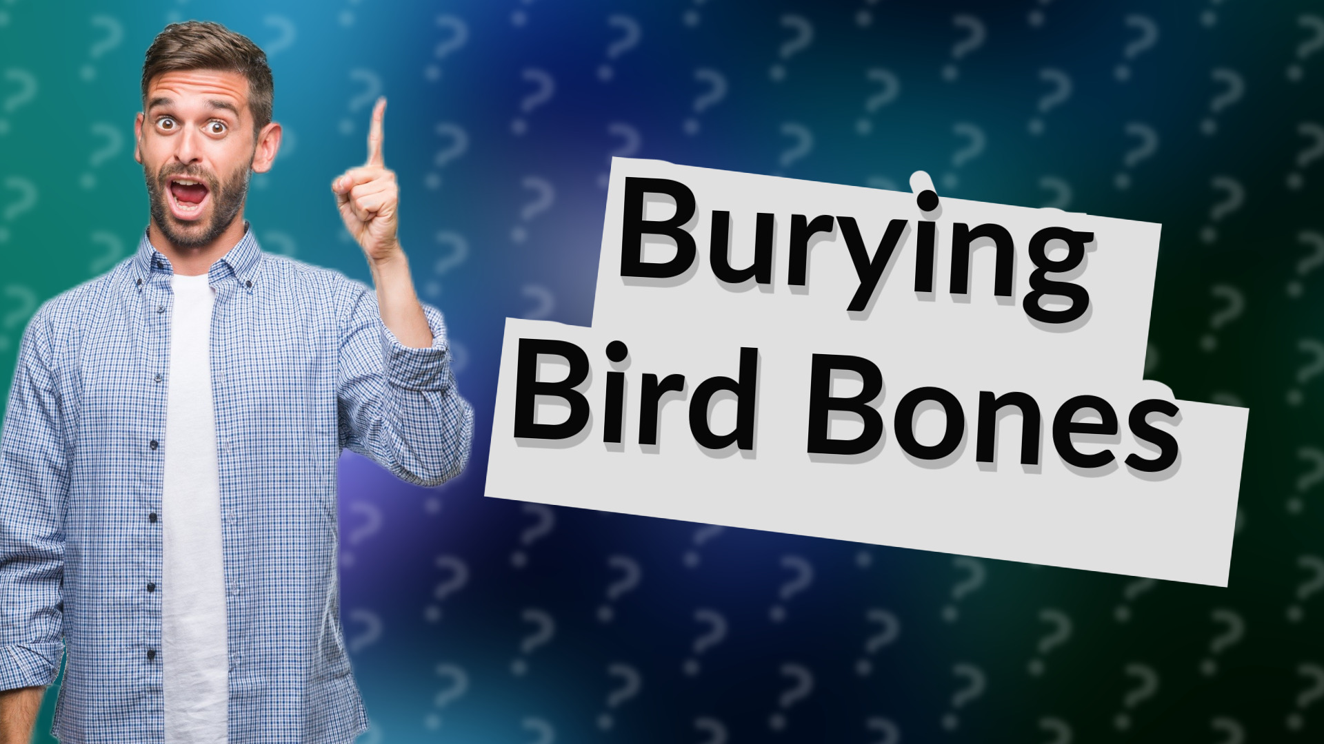 Burying Bird Bones