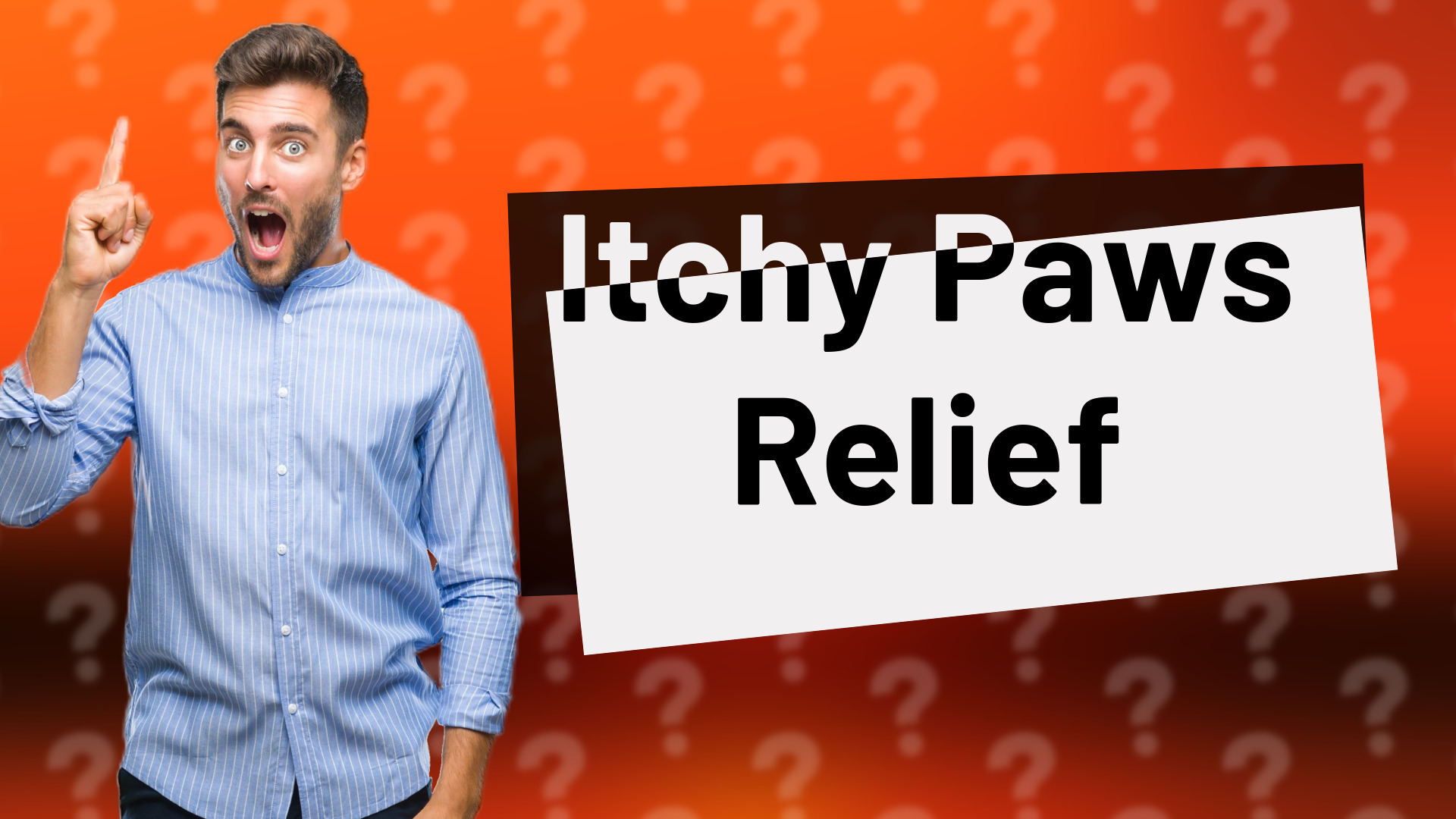Itchy Paws Relief