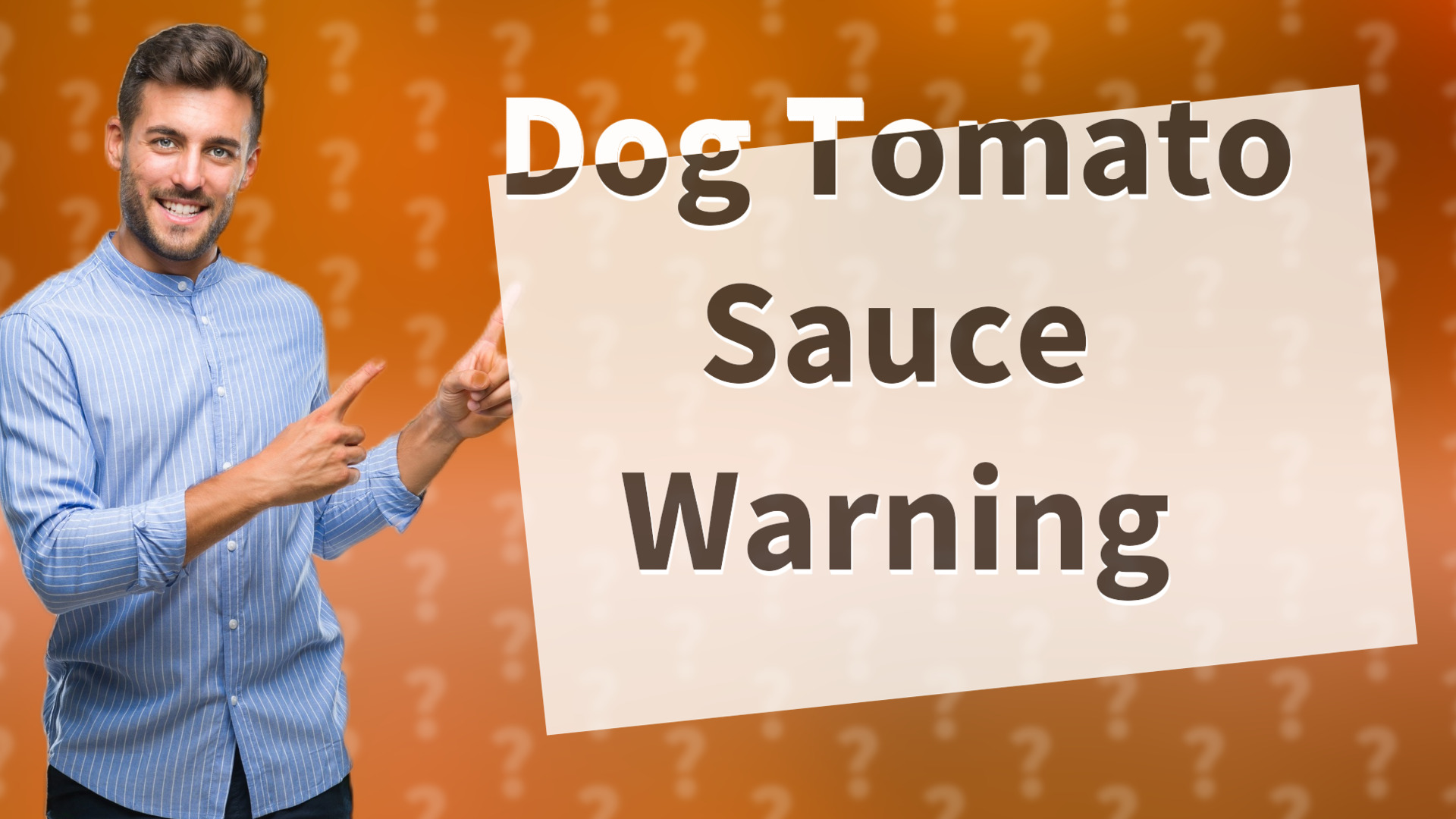 Dog Tomato Sauce Warning