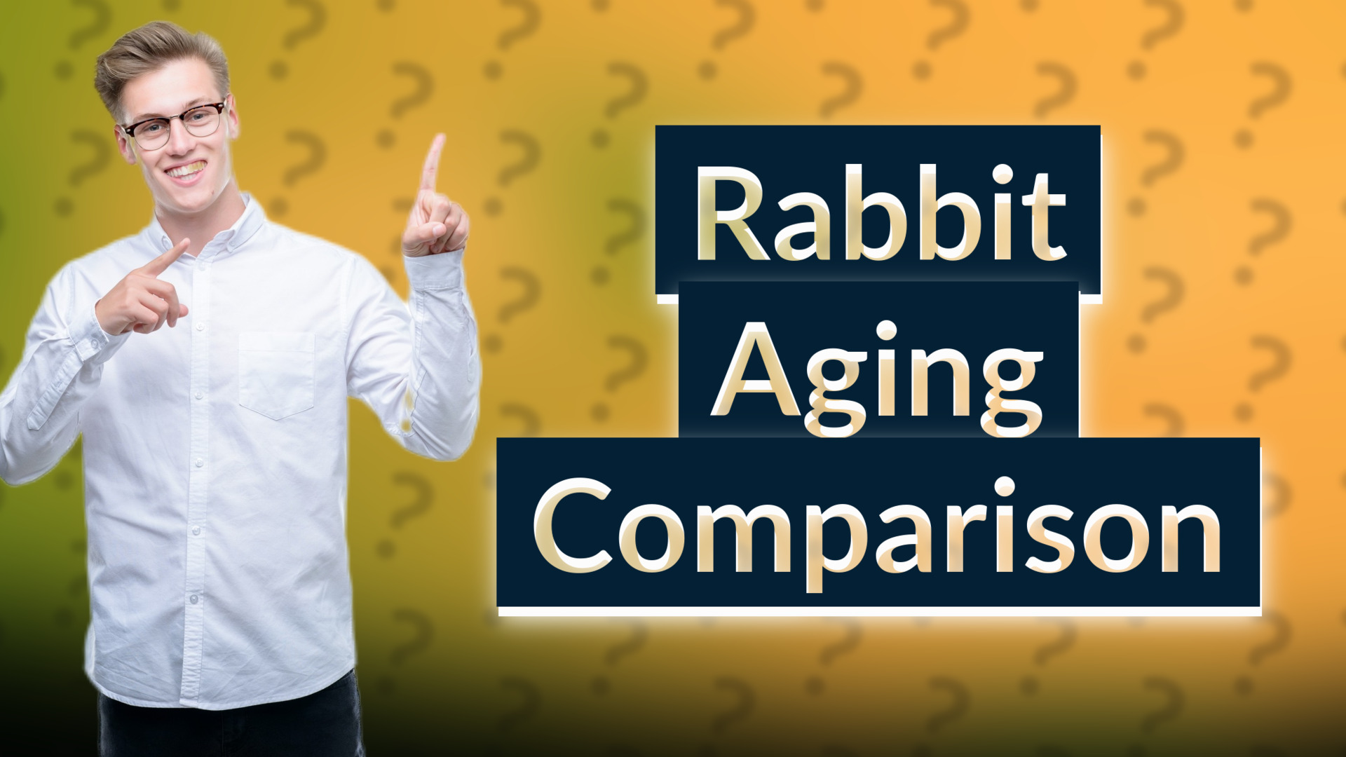 Rabbit Aging Comparison
