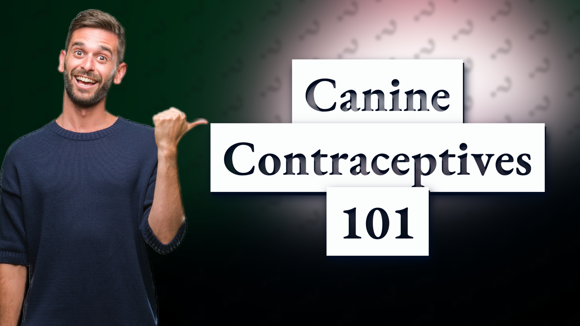 Canine Contraceptives 101