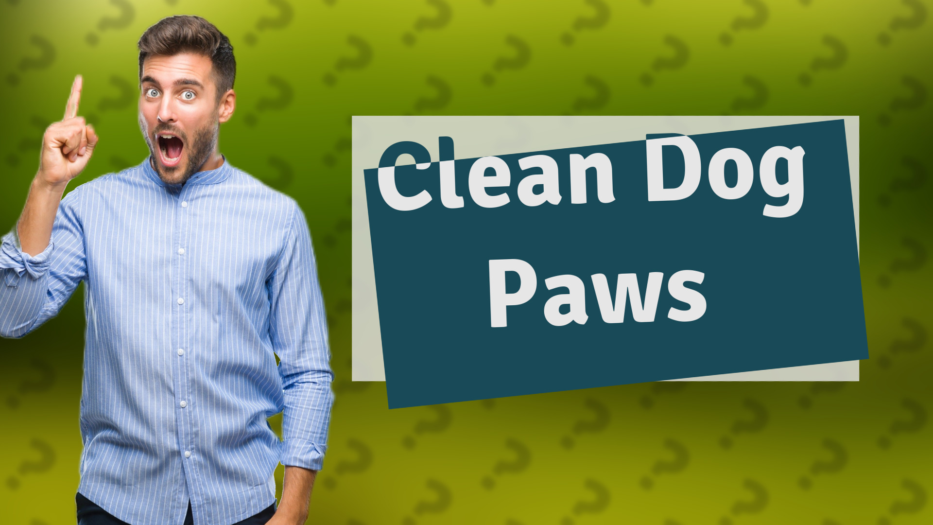 Clean Dog Paws