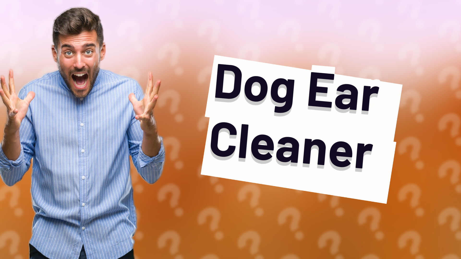 Dog Ear Cleaner