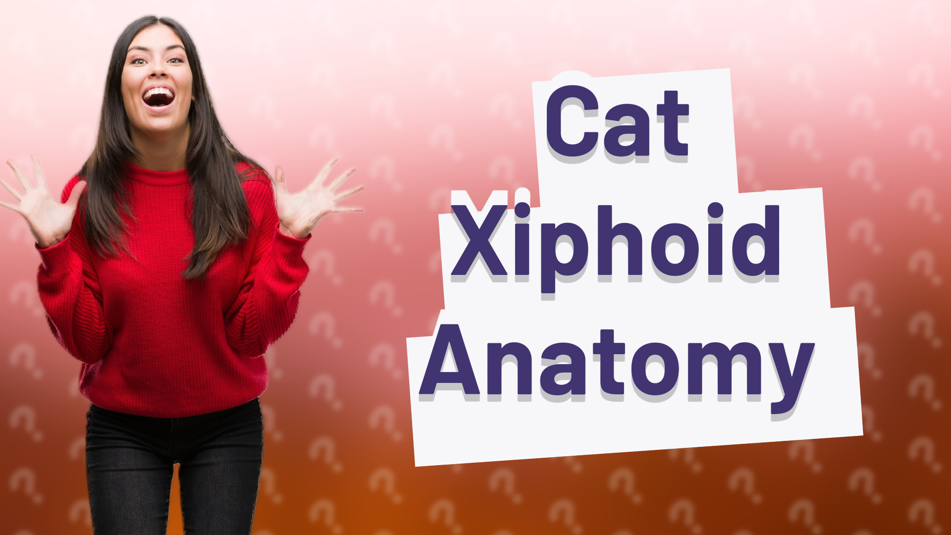 Cat Xiphoid Anatomy