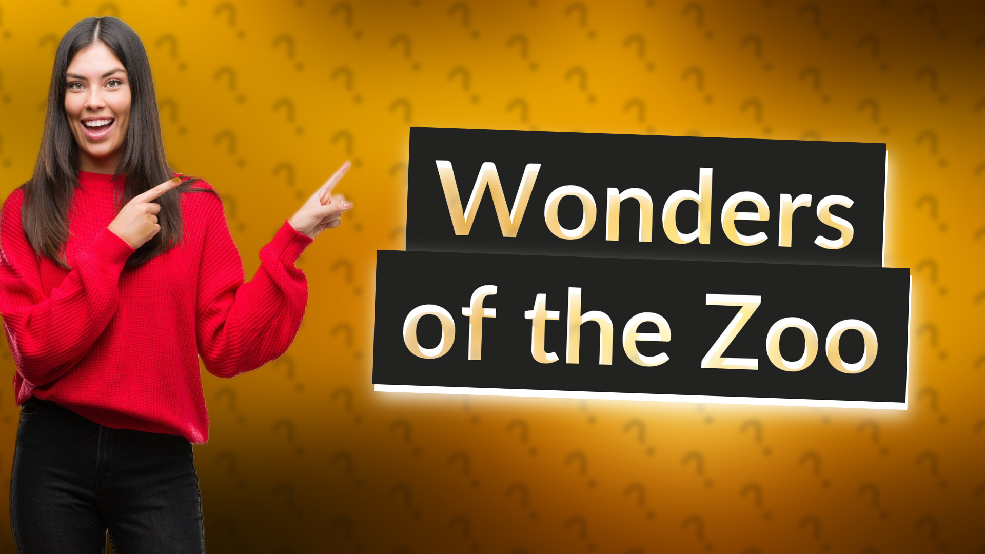 Wonders of the Zoo