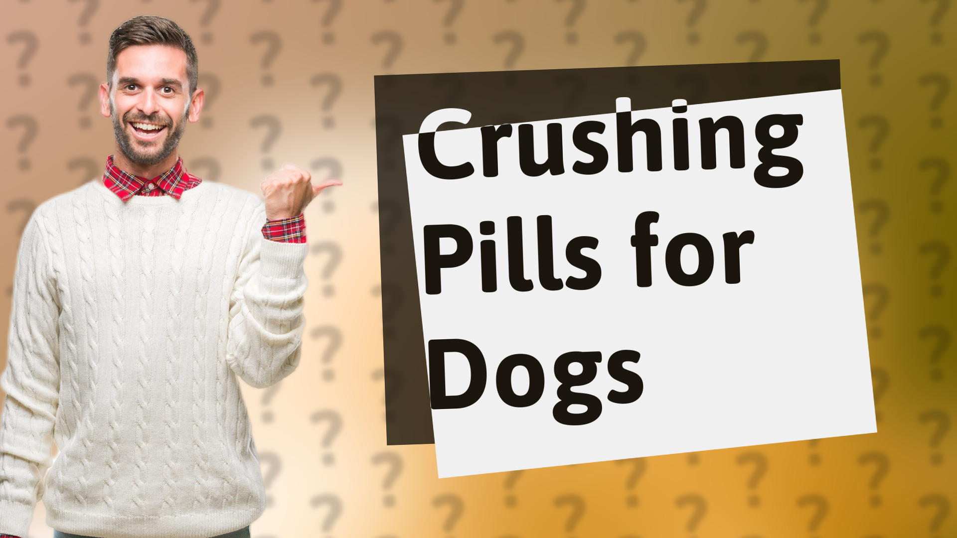 Crushing Pills for Dogs