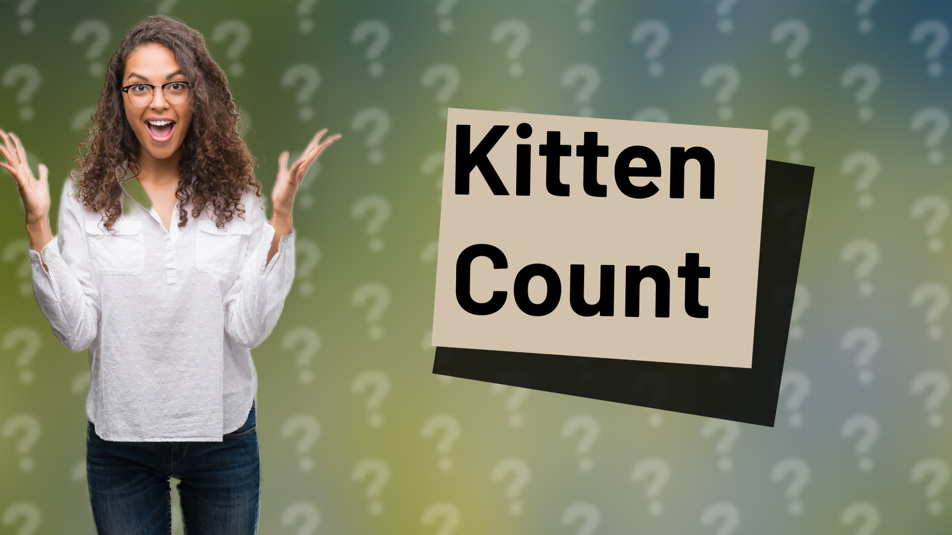 Kitten Count