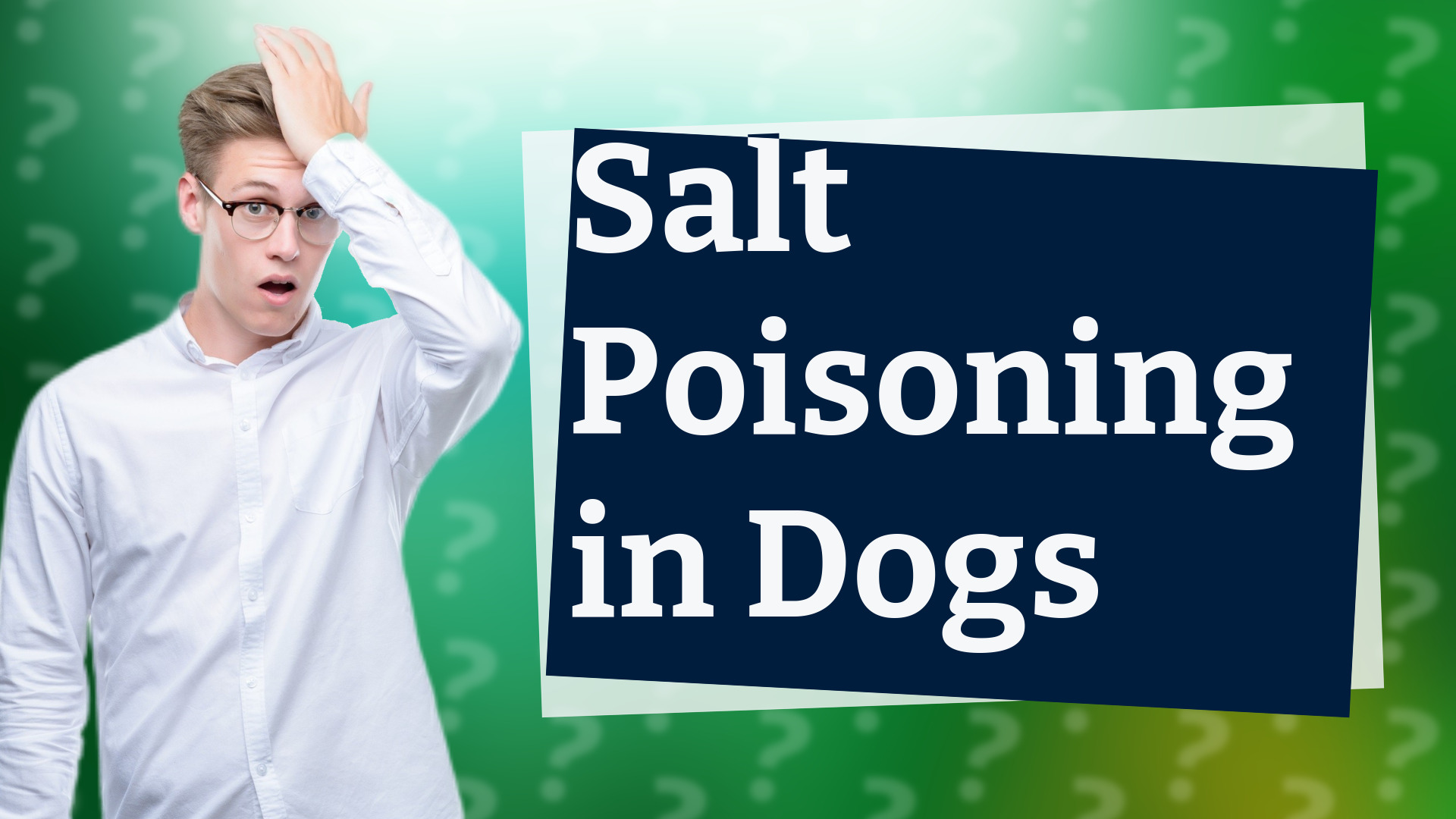 Salt Poisoning in Dogs