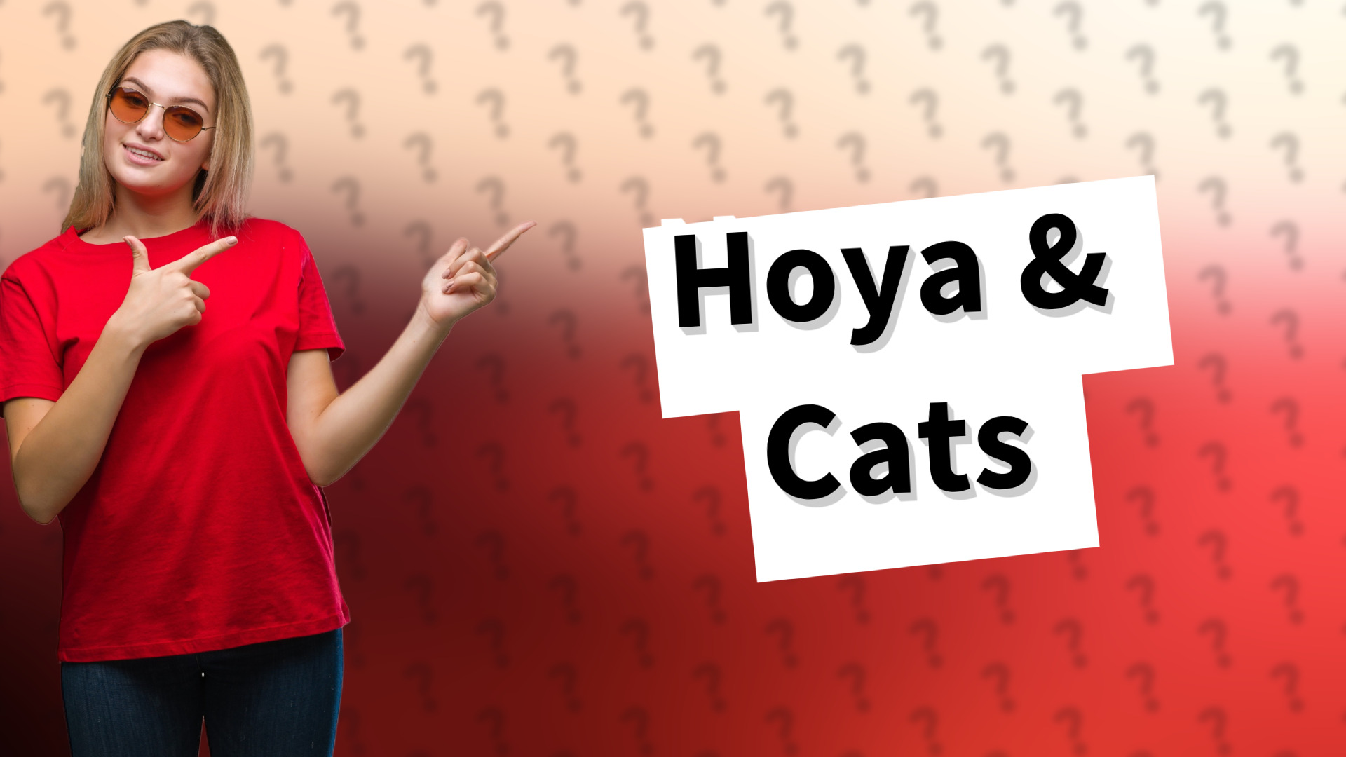 Hoya & Cats