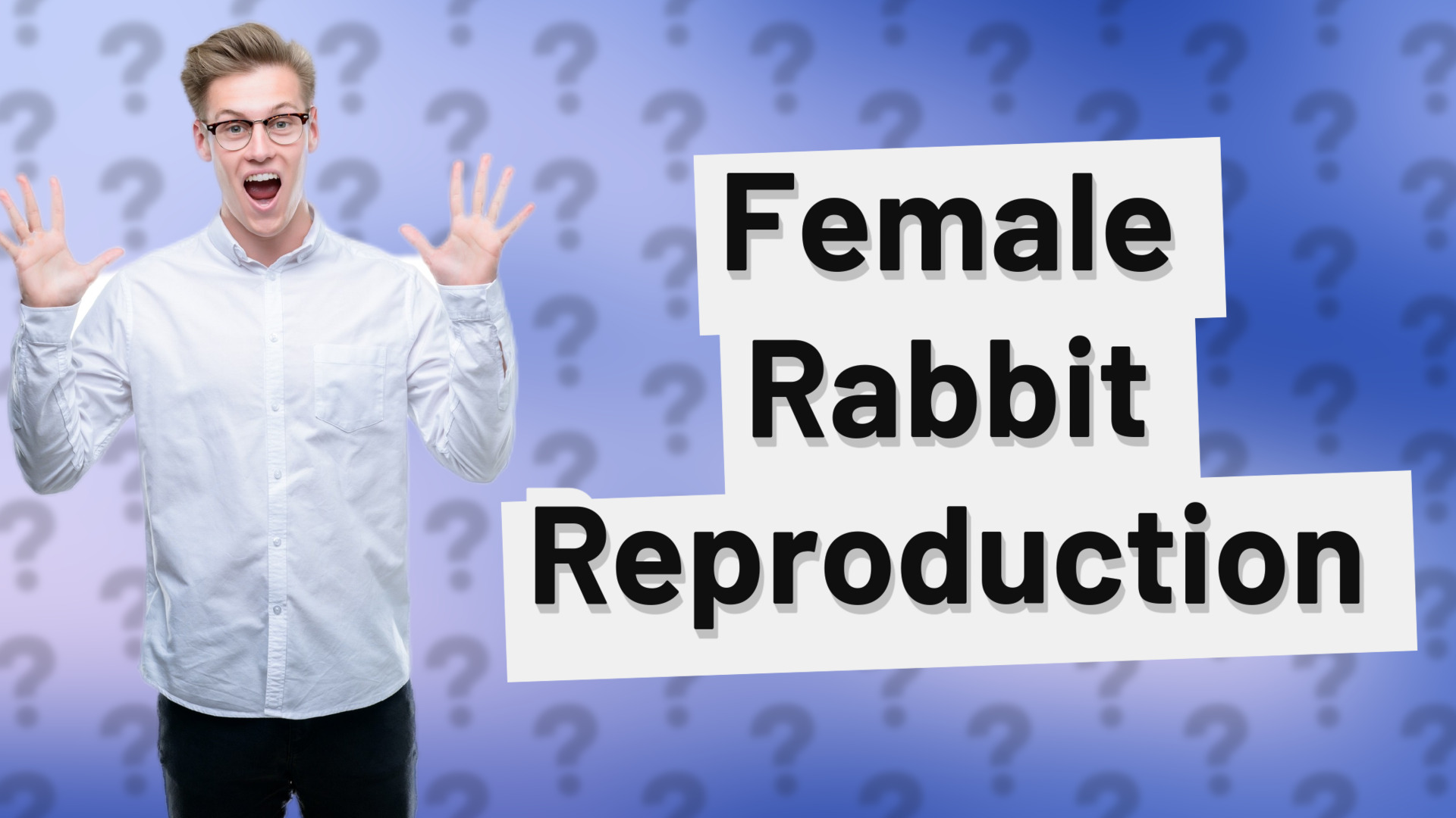 Female Rabbit Reproduction