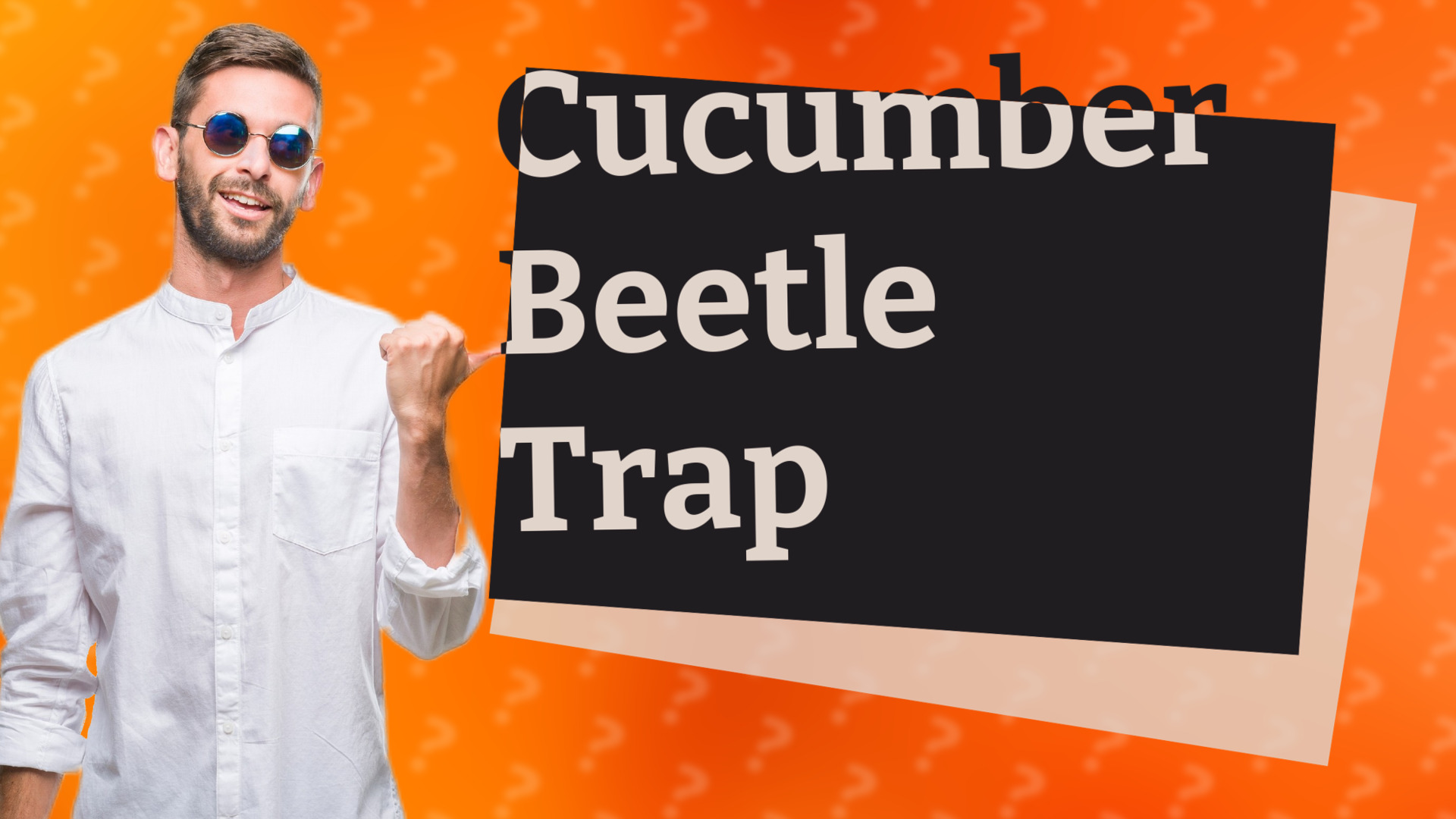 Cucumber Beetle Trap