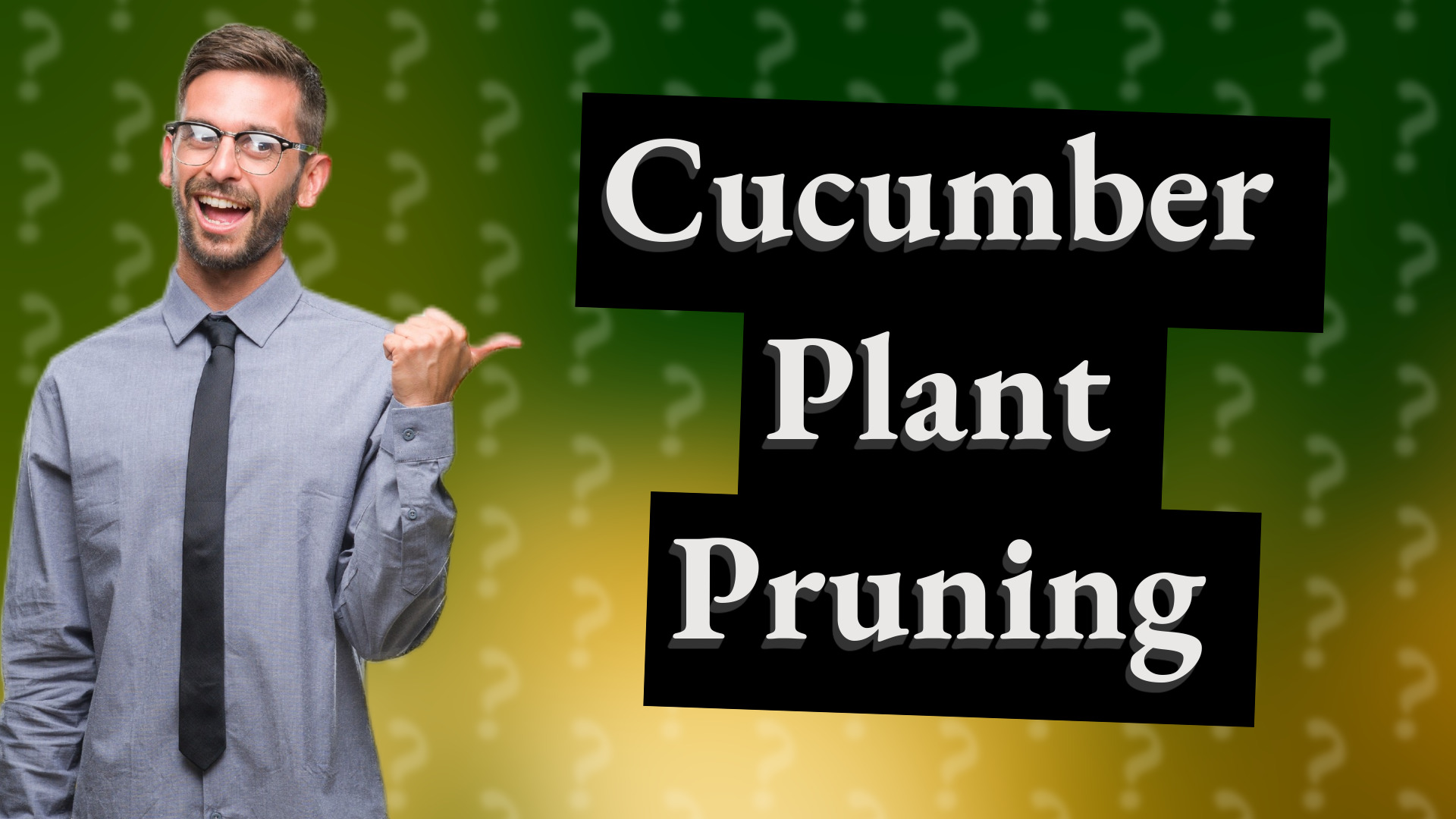 Cucumber Plant Pruning
