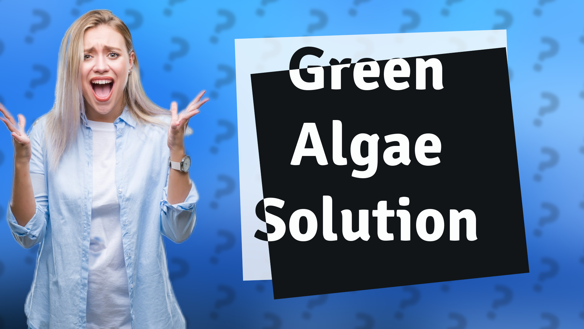 Green Algae Solution