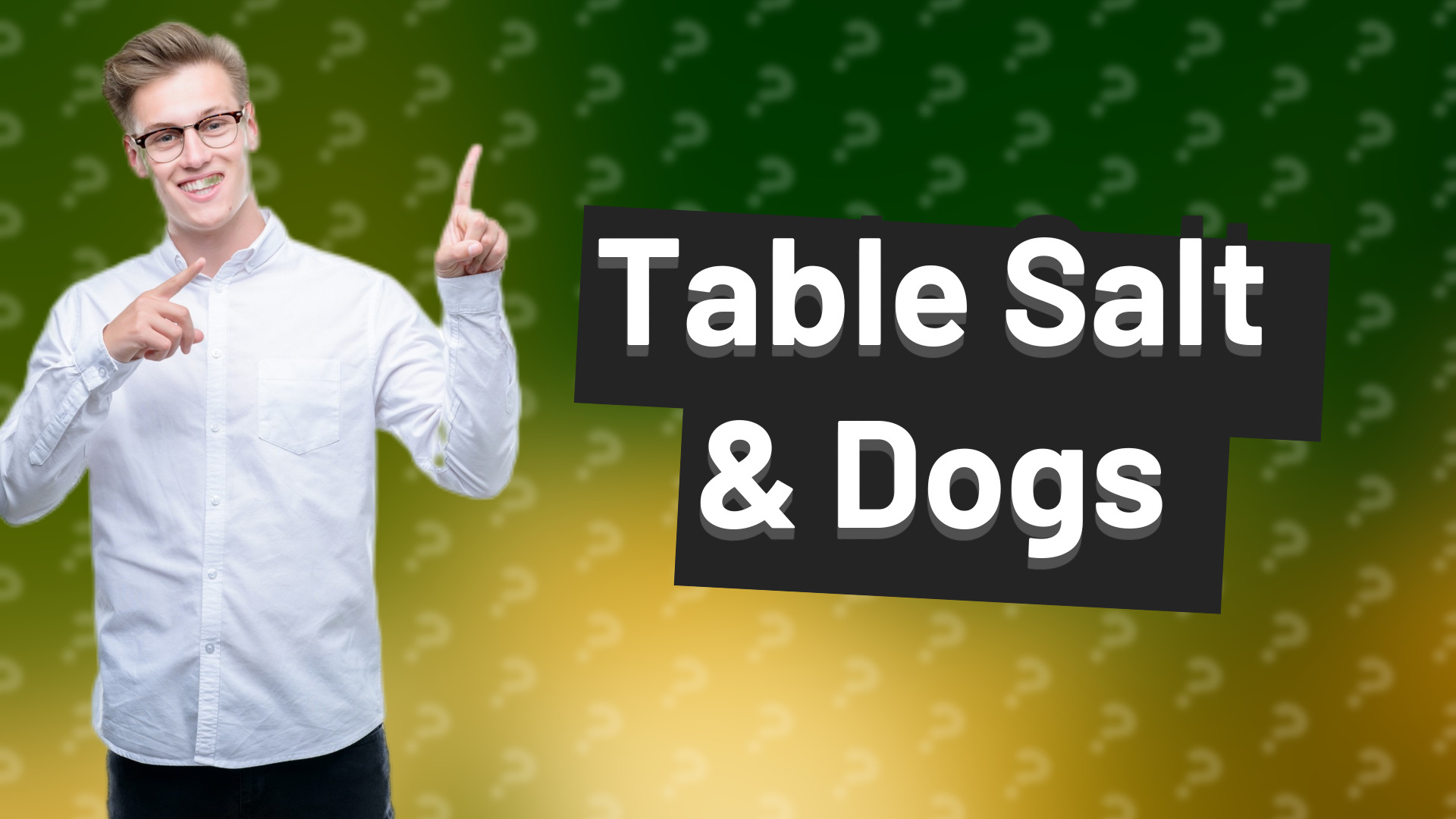 Table Salt & Dogs