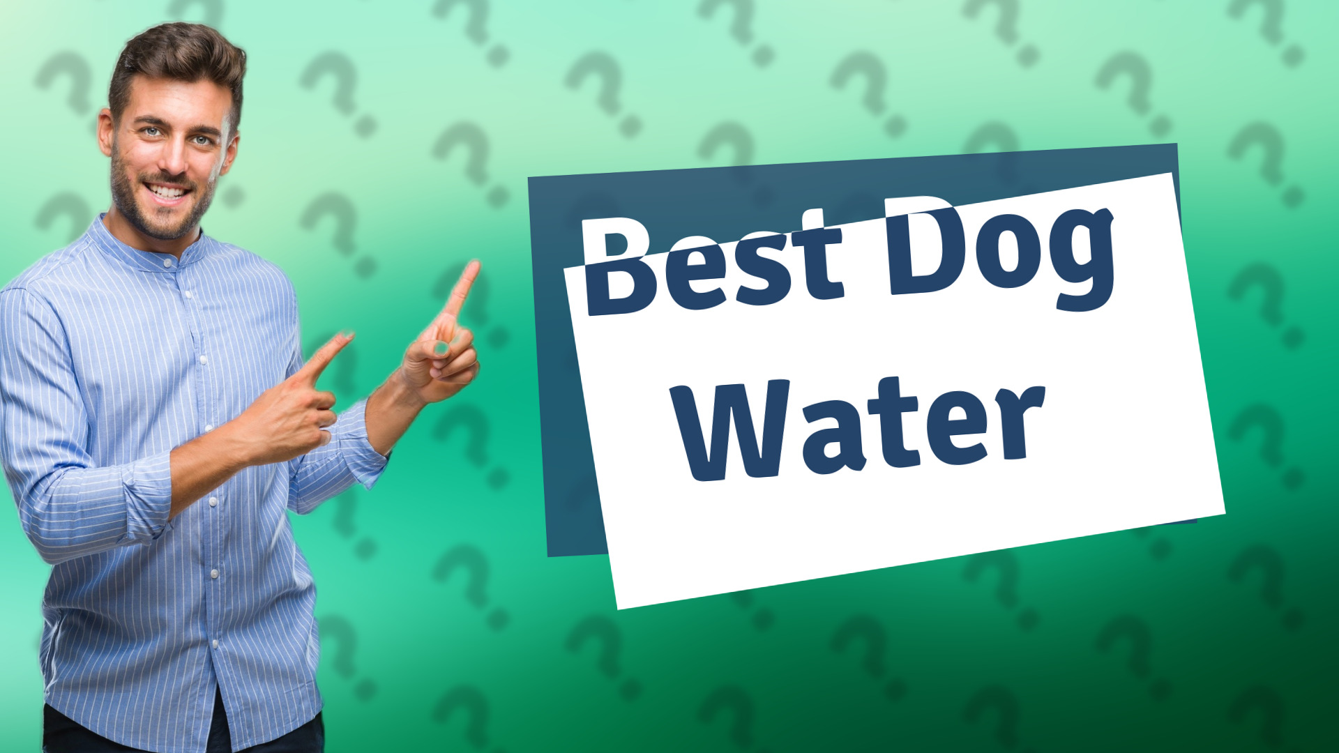 Best Dog Water