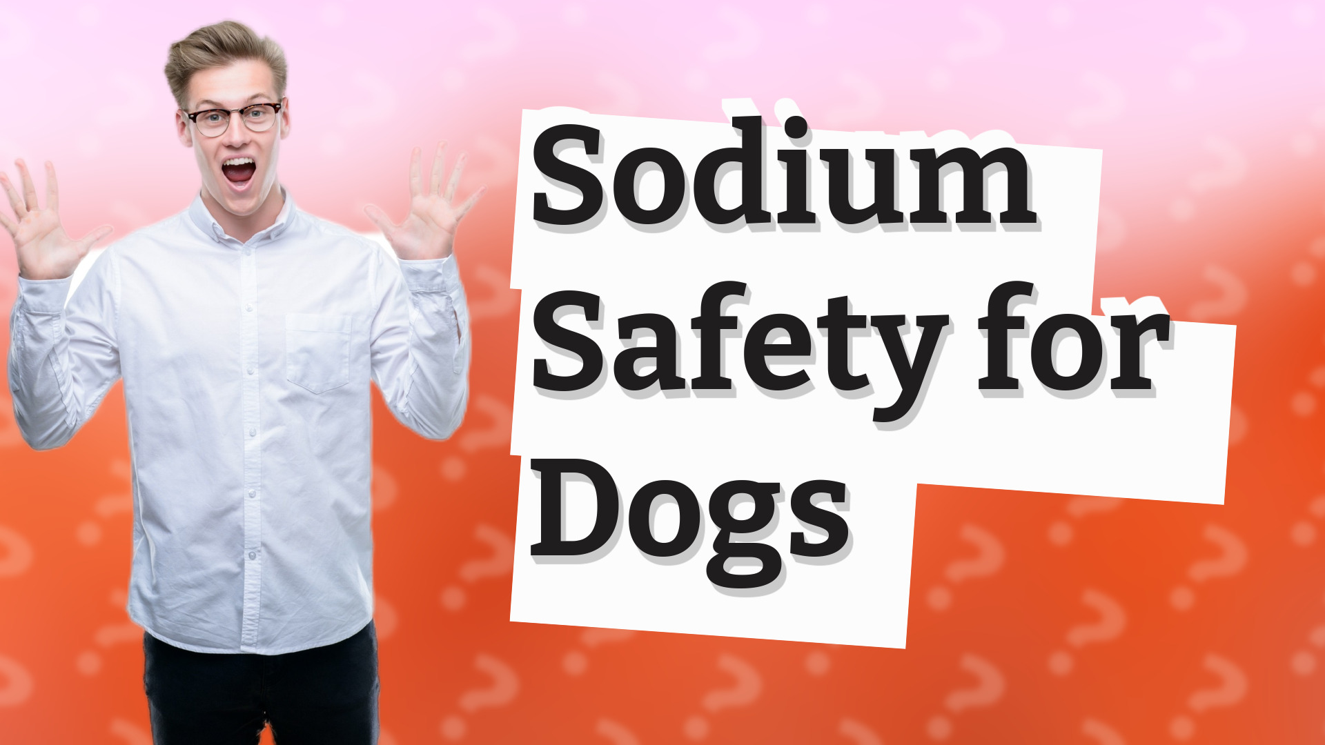 Sodium Safety for Dogs