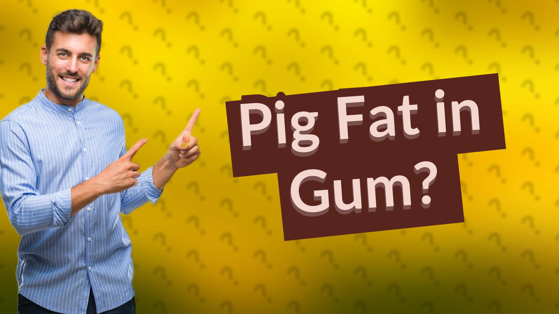 Pig Fat in Gum?