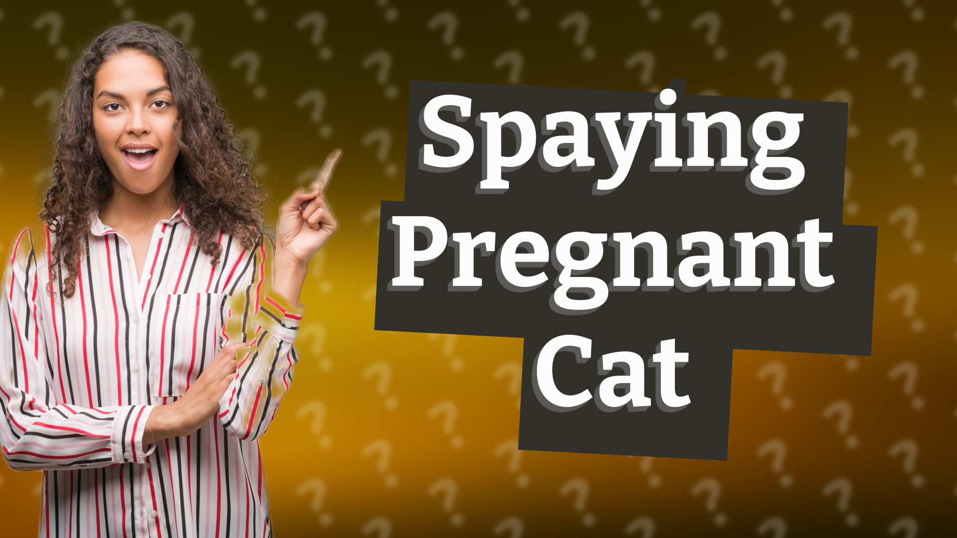 Spaying Pregnant Cat