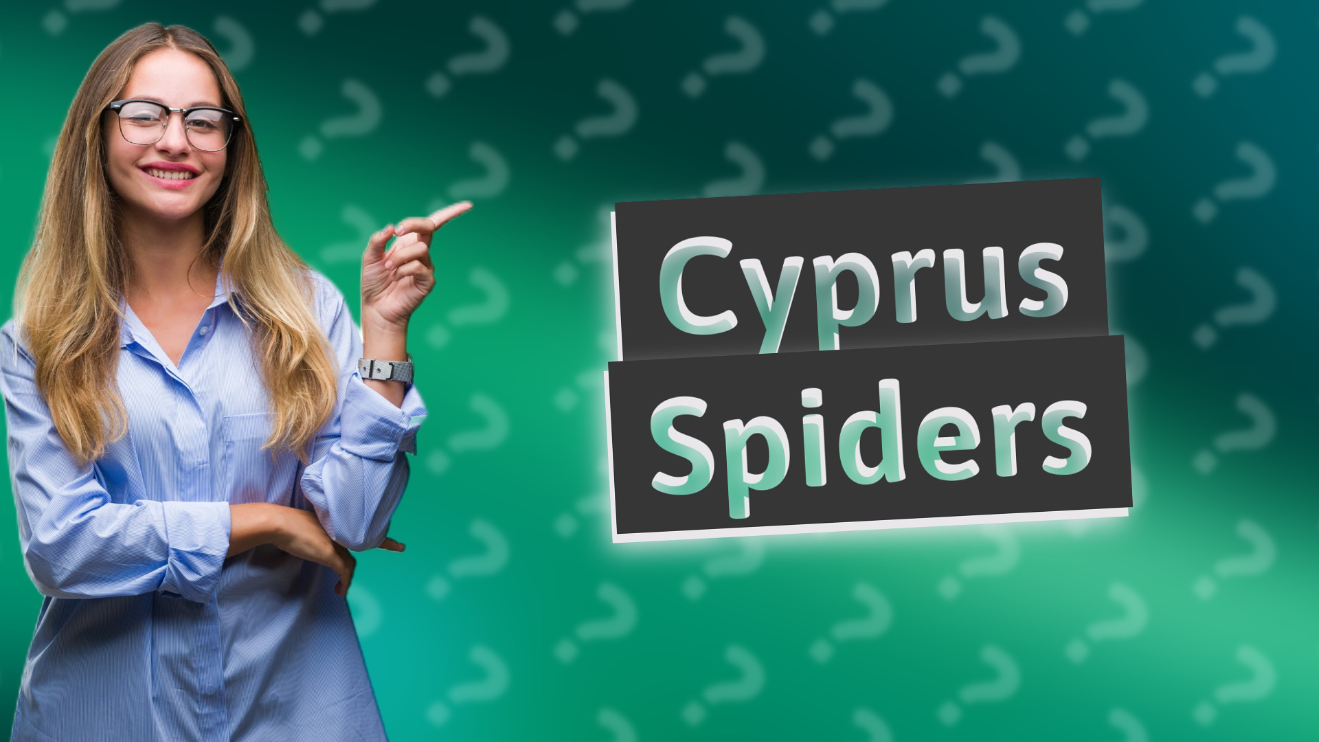 Cyprus Spiders