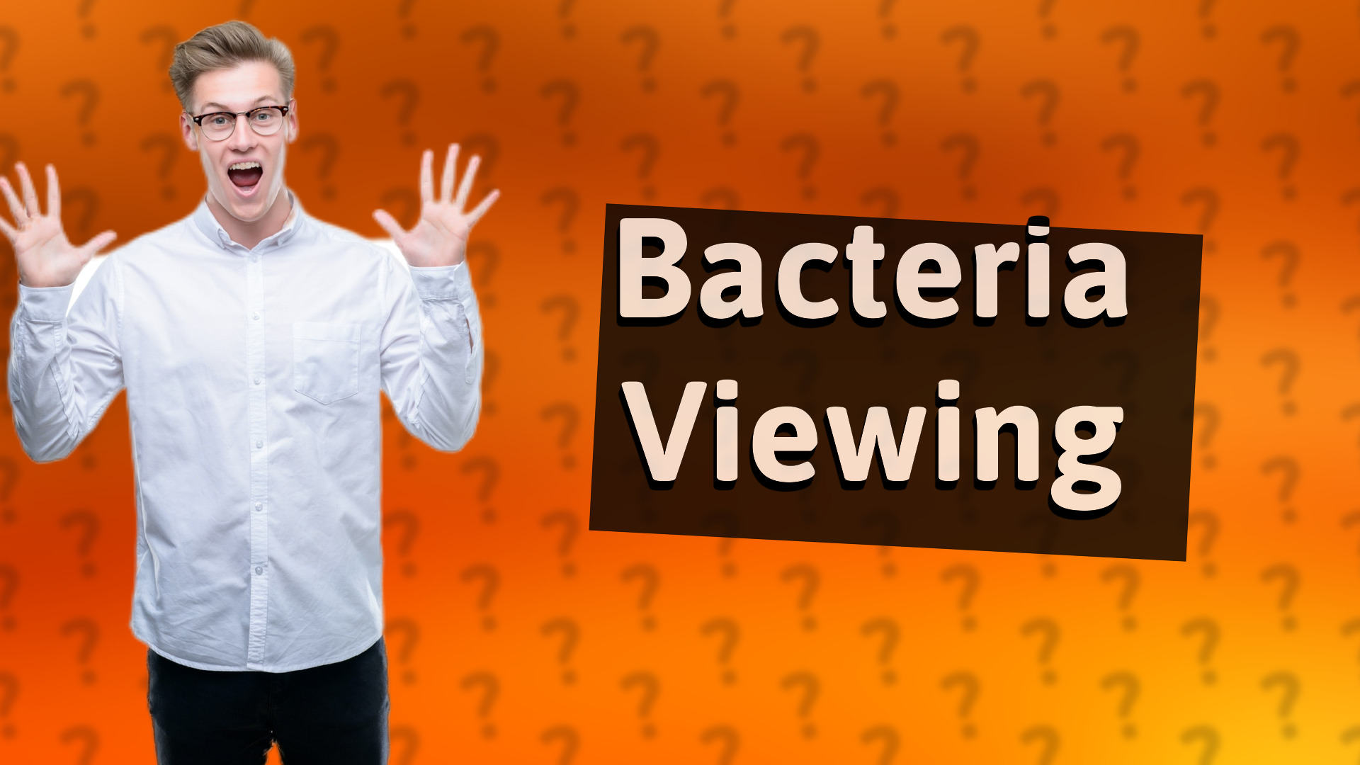 Bacteria Viewing