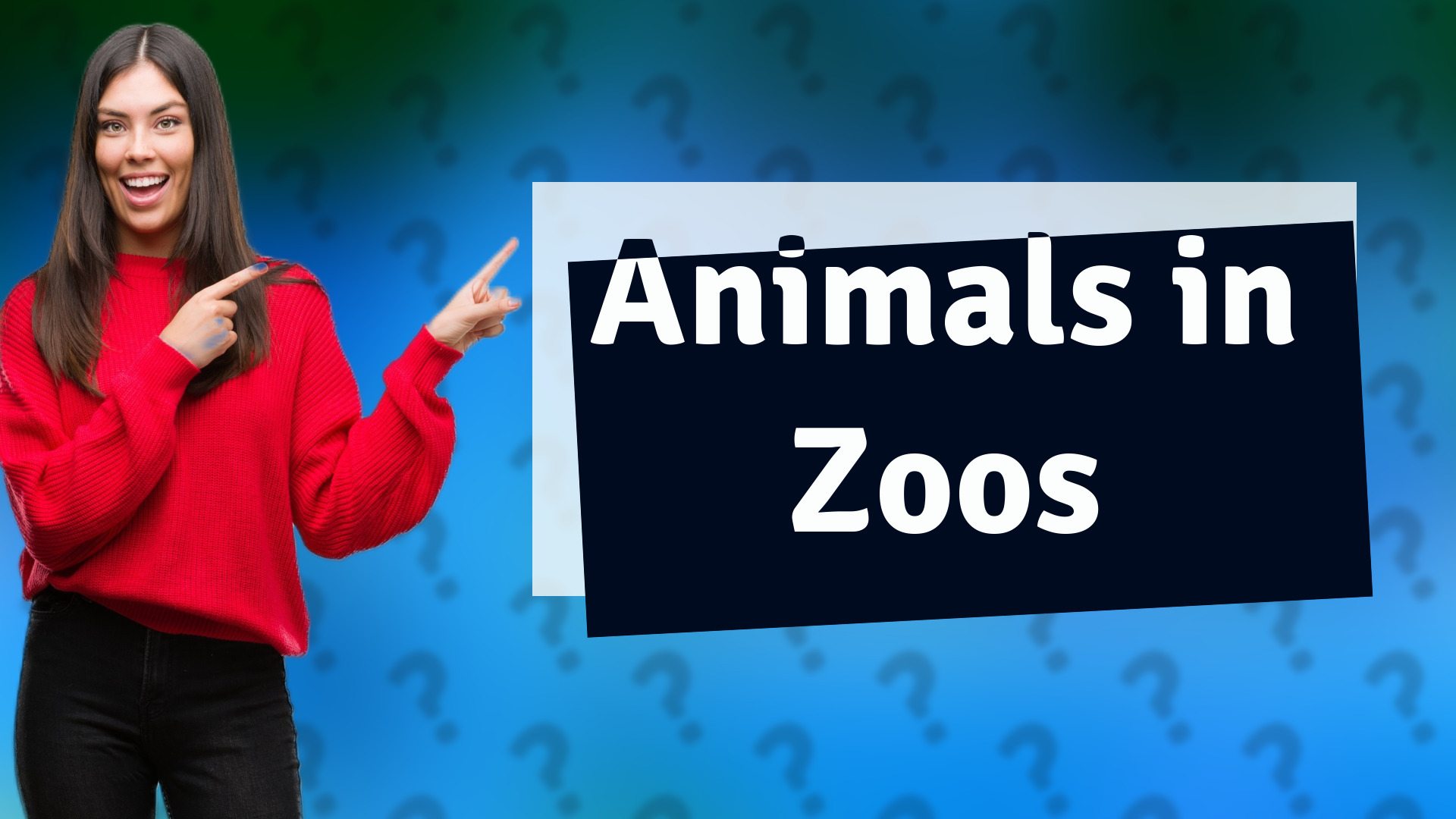 Animals in Zoos