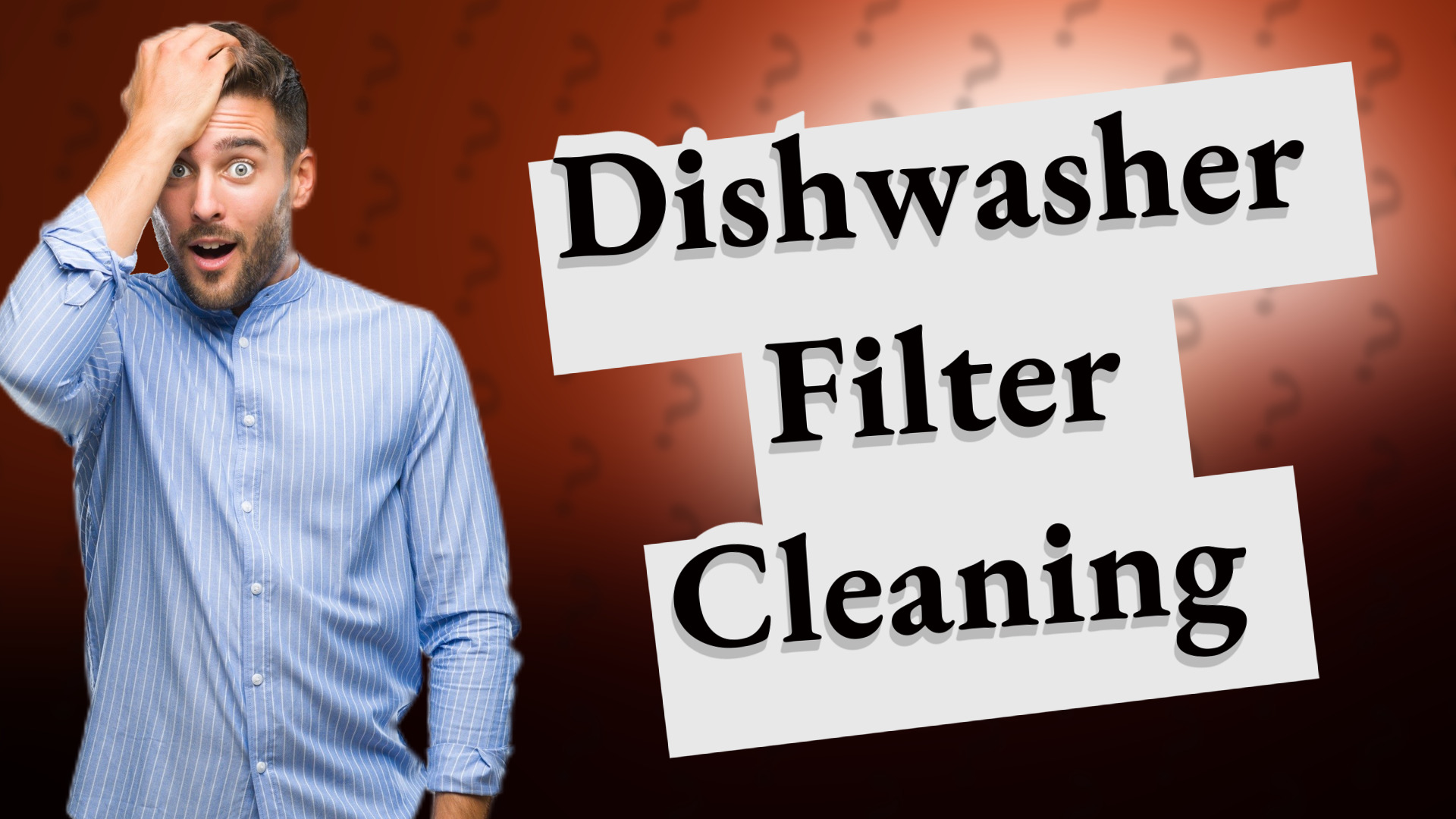 Dishwasher Filter Cleaning