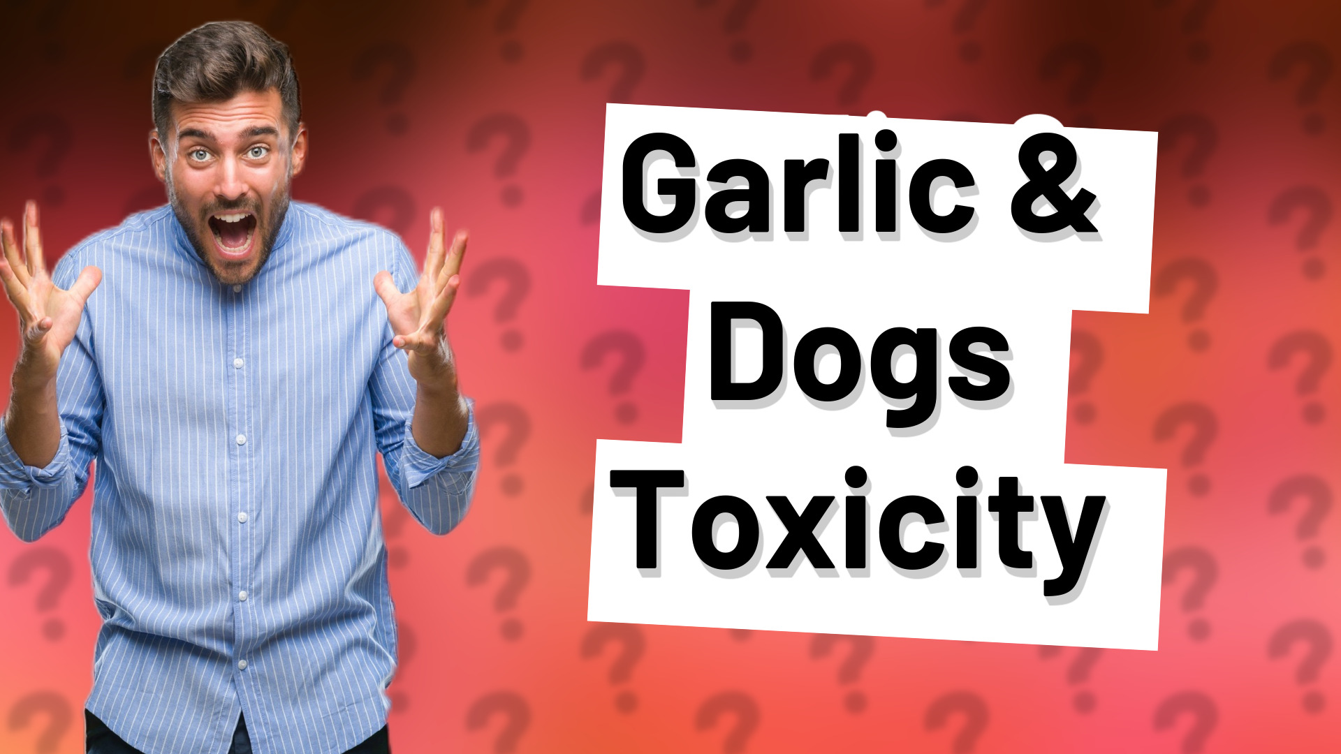 Garlic & Dogs Toxicity