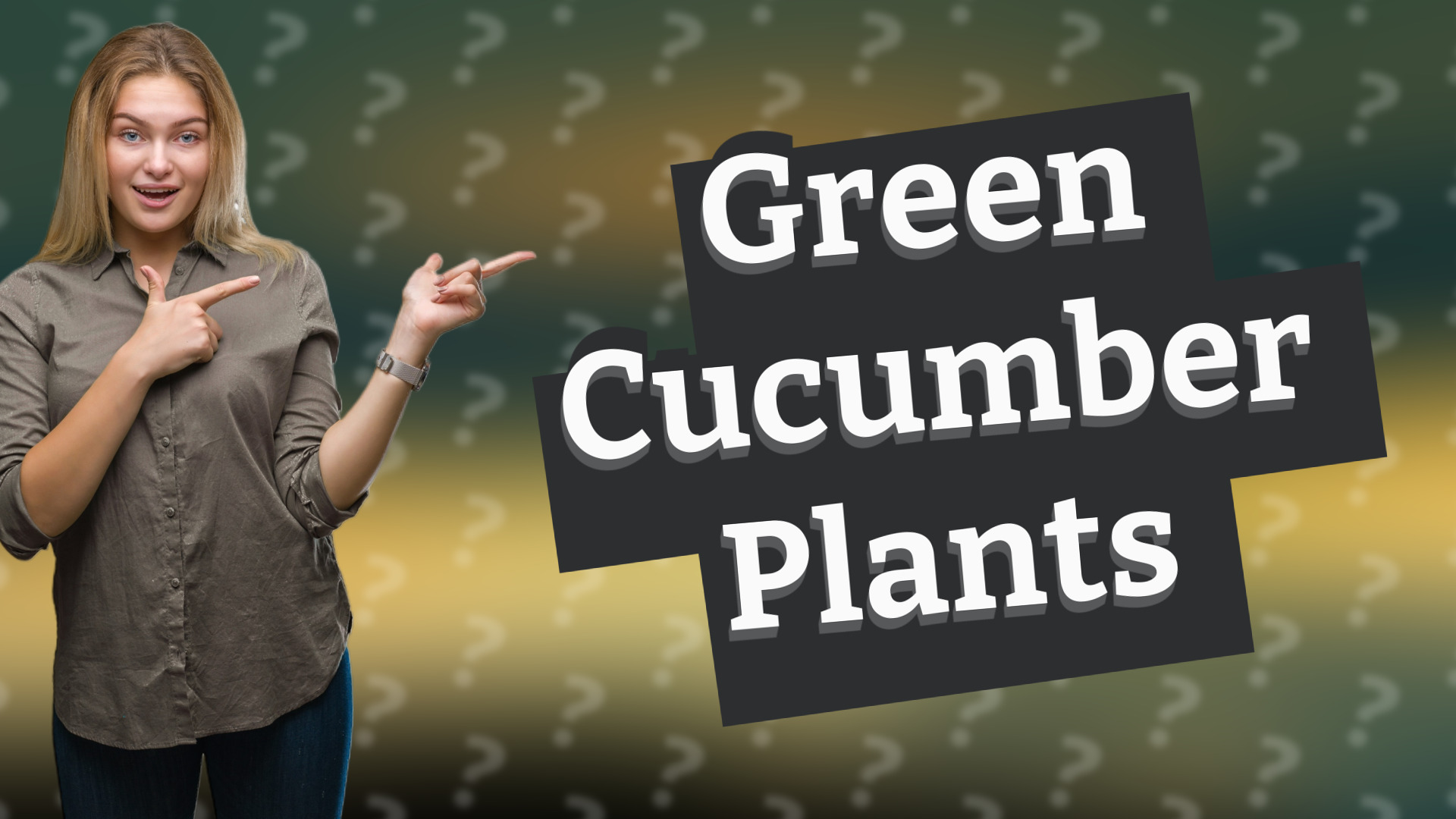 Green Cucumber Plants