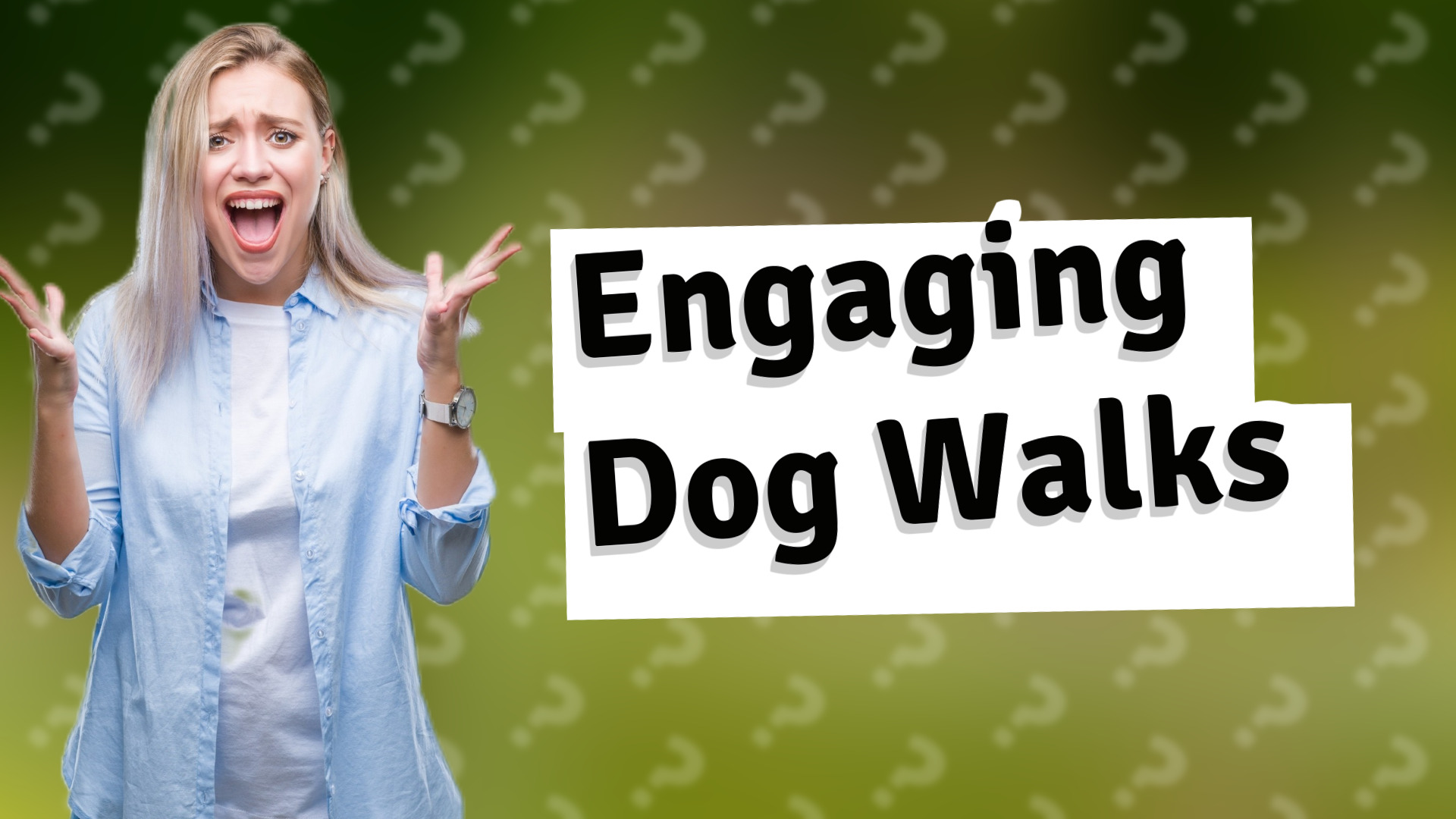 Engaging Dog Walks