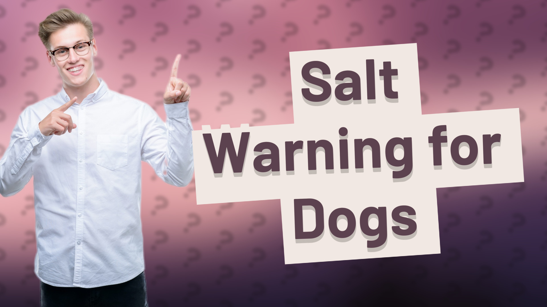 Salt Warning for Dogs