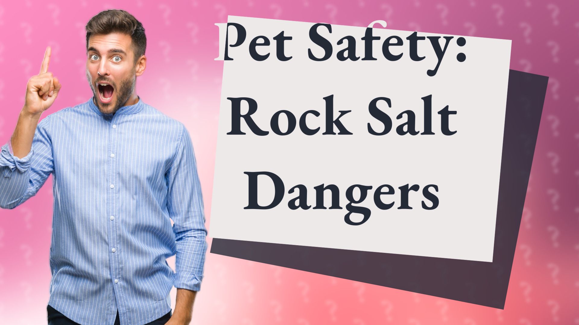 Pet Safety: Rock Salt Dangers