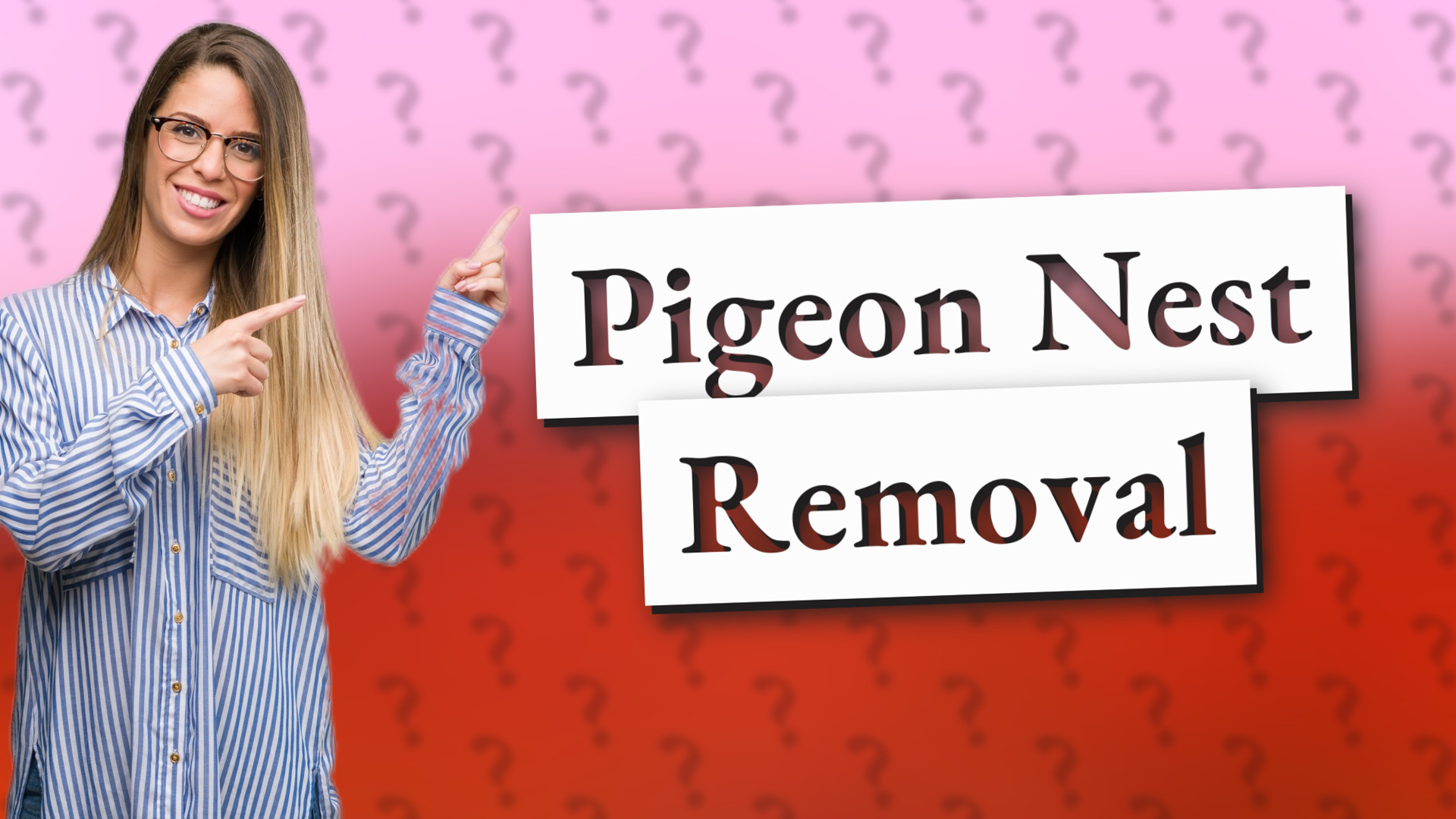 Pigeon Nest Removal