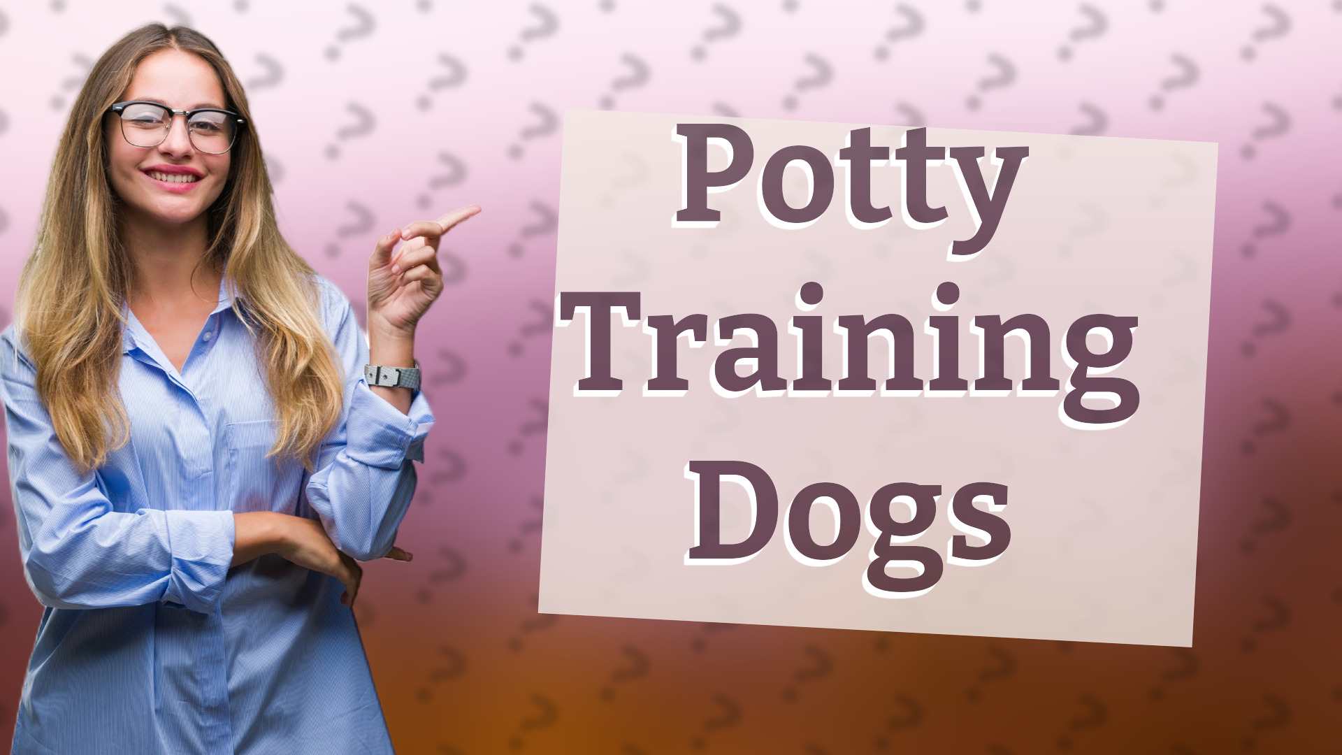 Potty Training Dogs