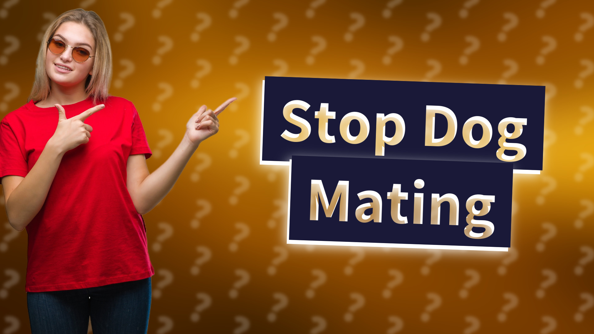 Stop Dog Mating