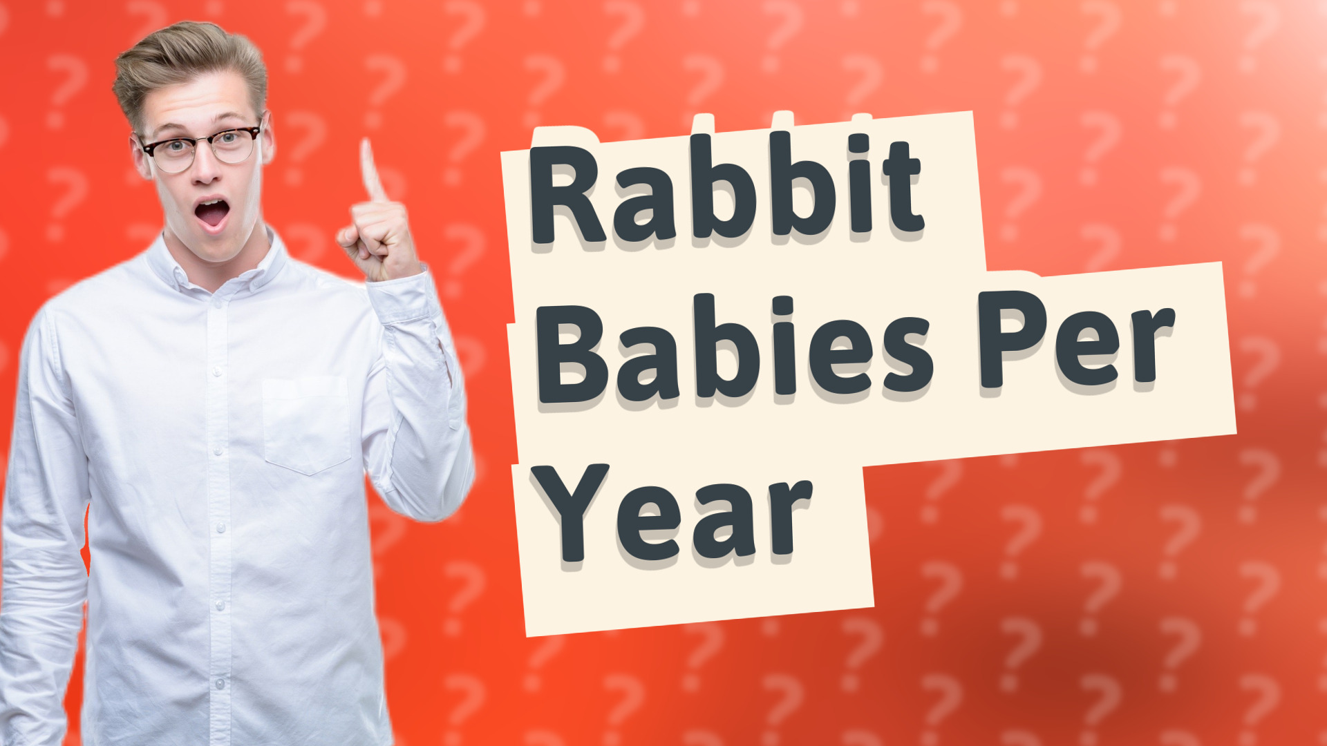 Rabbit Babies Per Year