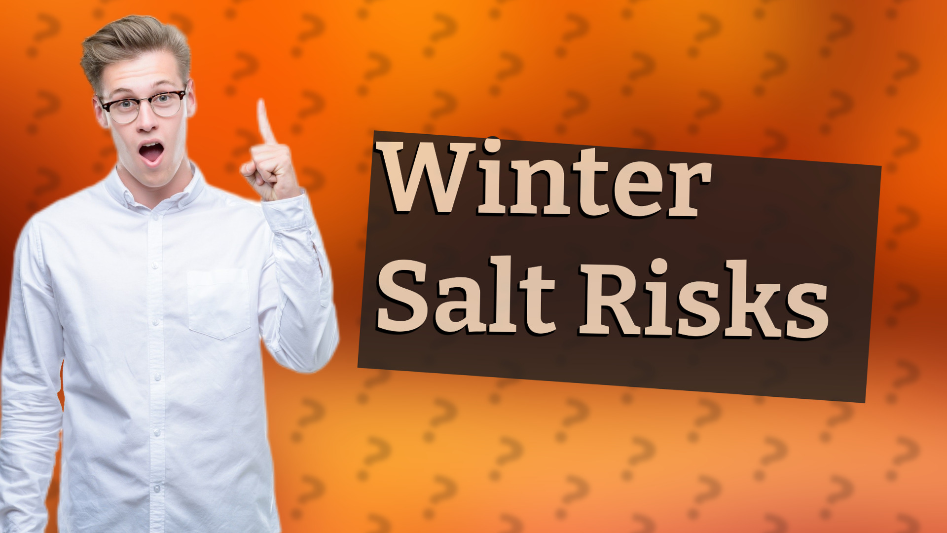 Winter Salt Risks