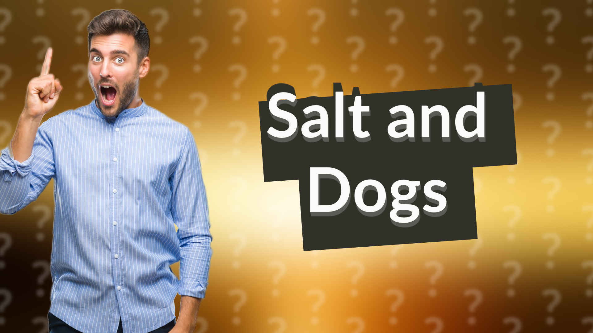 Salt and Dogs