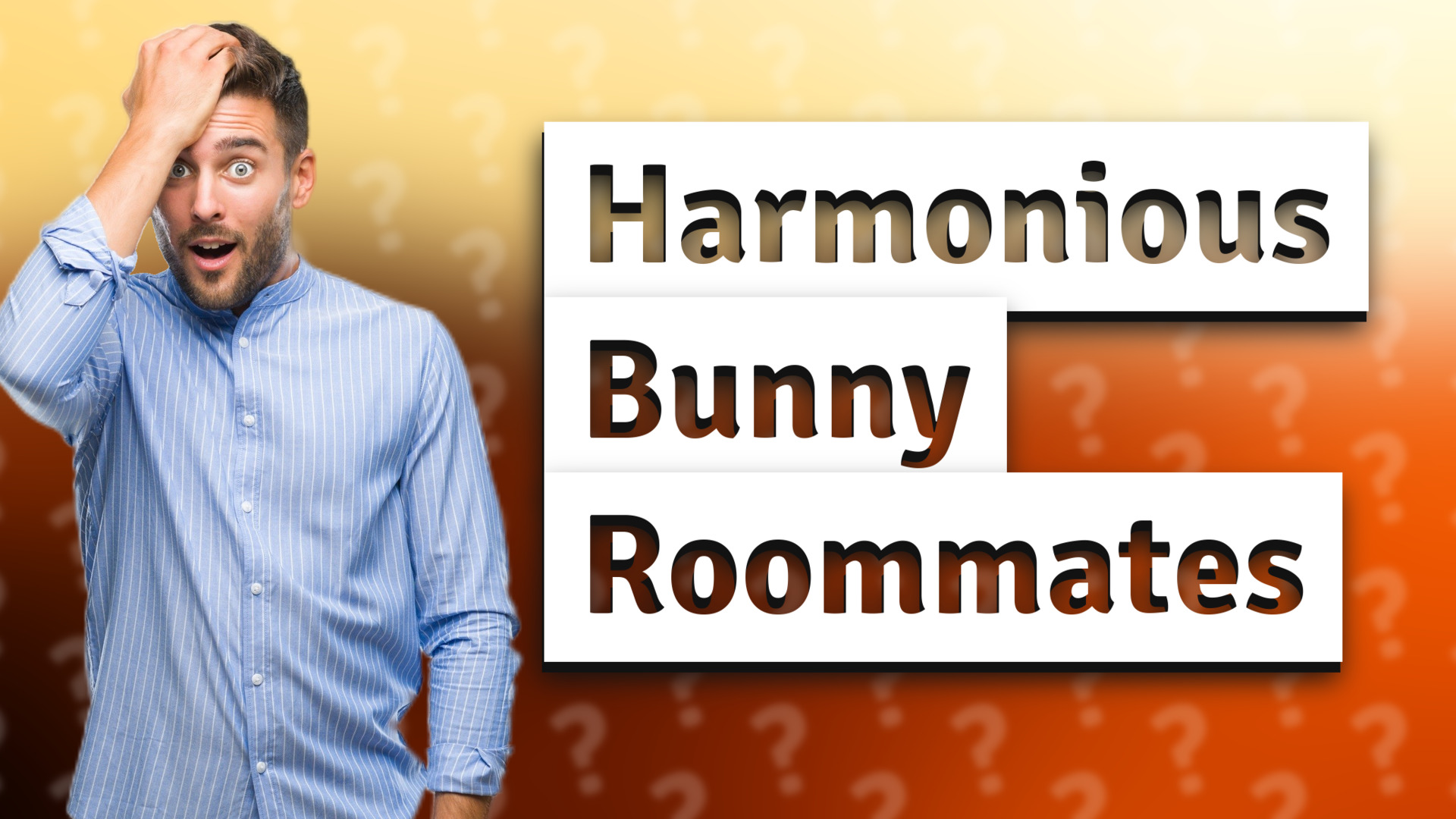 Harmonious Bunny Roommates